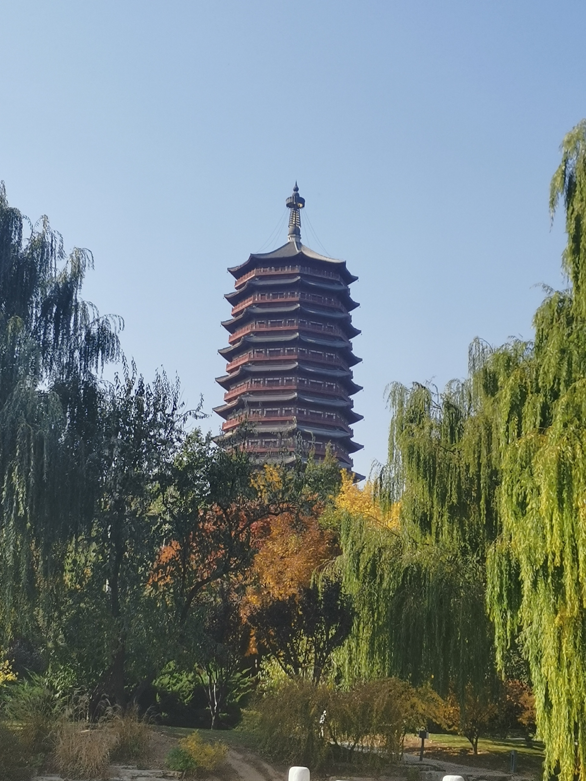 北京秋日里难得的惊喜之景-中国园林博物馆