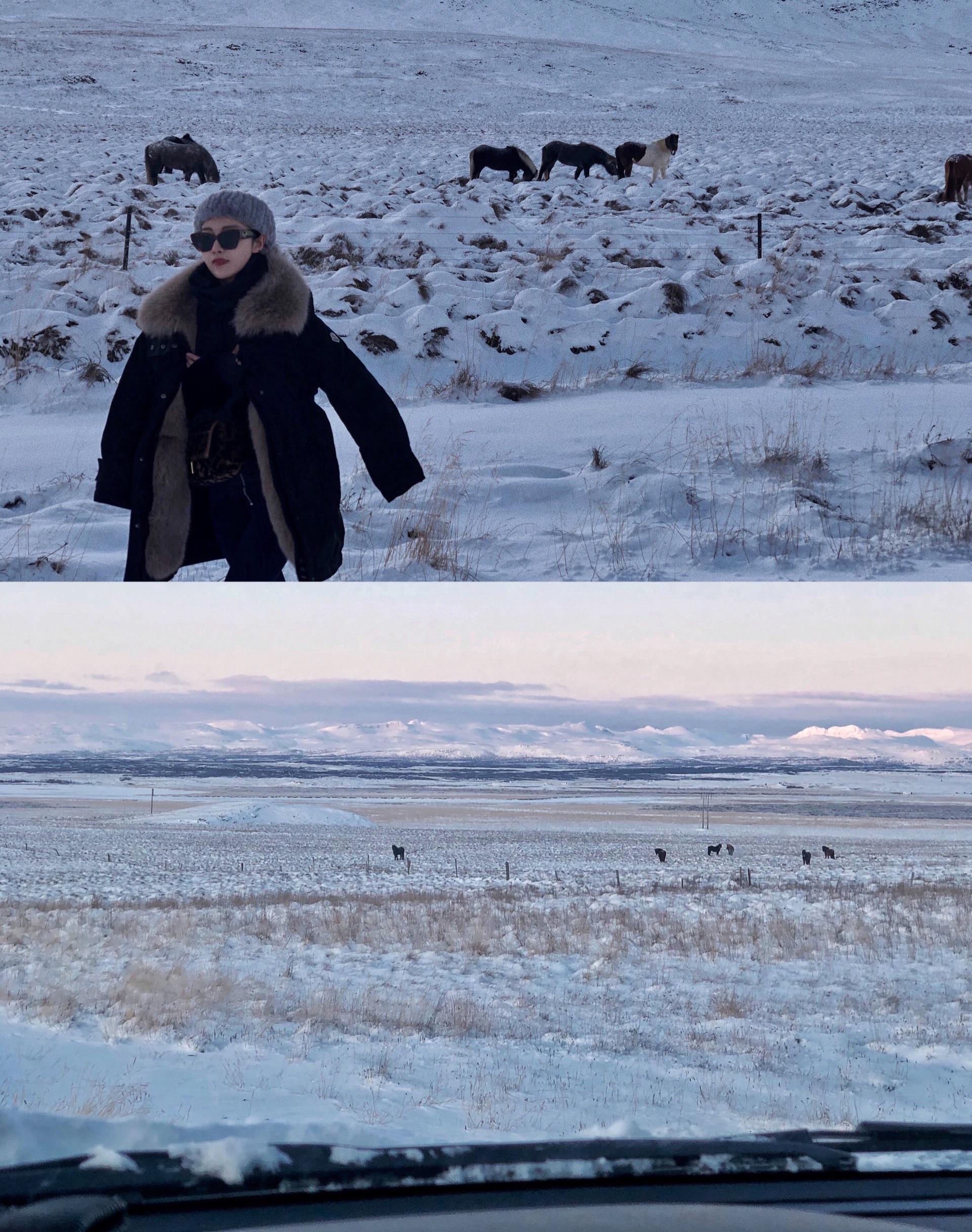冰岛跨年 冬日自驾全攻略