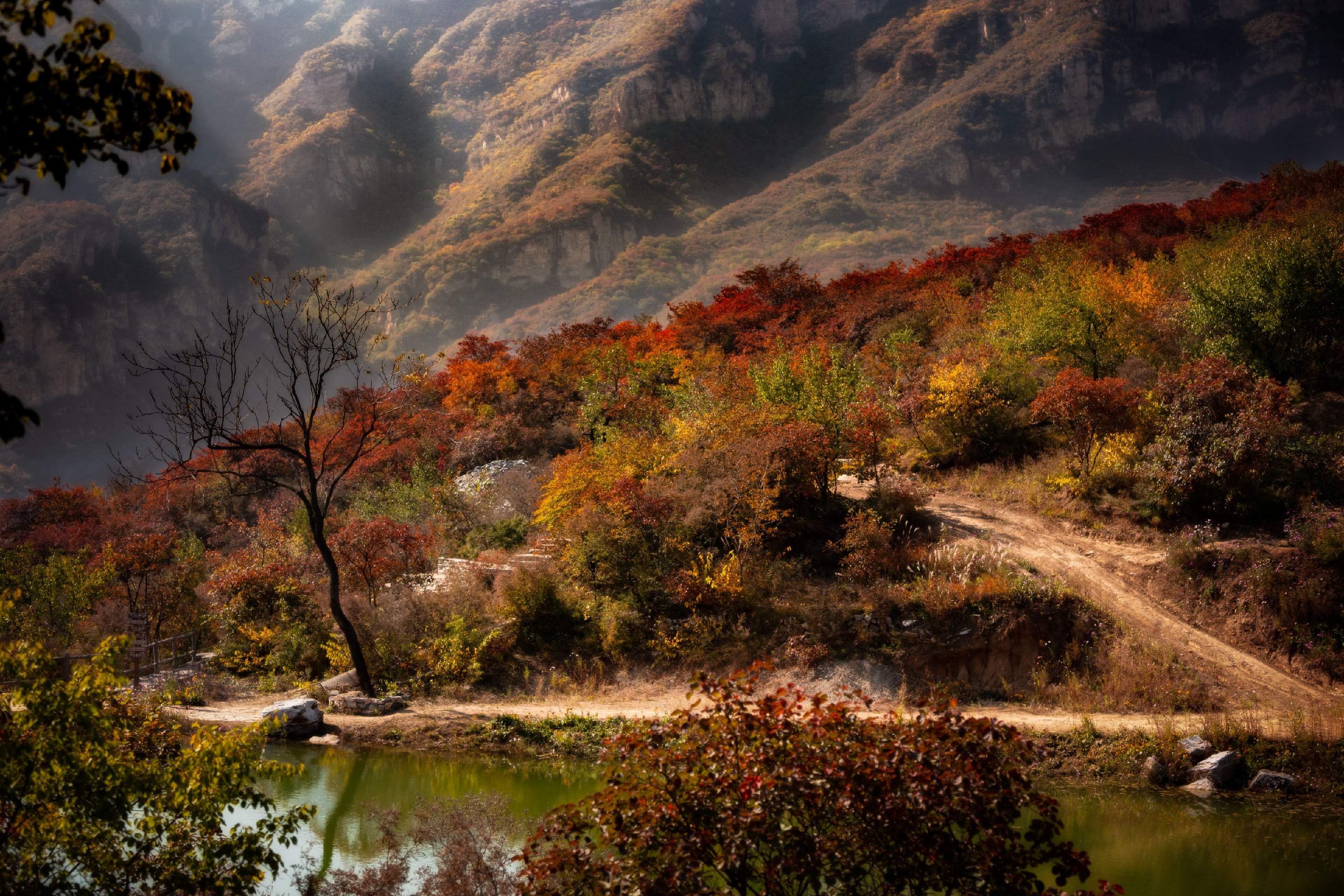 坡峰岭，不算小众的赏秋景点，红叶以黄栌为主就是周末人实在太多