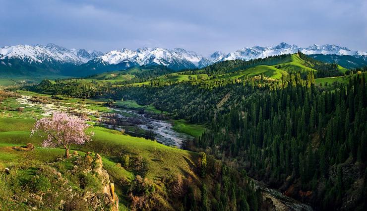 新疆旅游攻略库尔德宁自然保护区