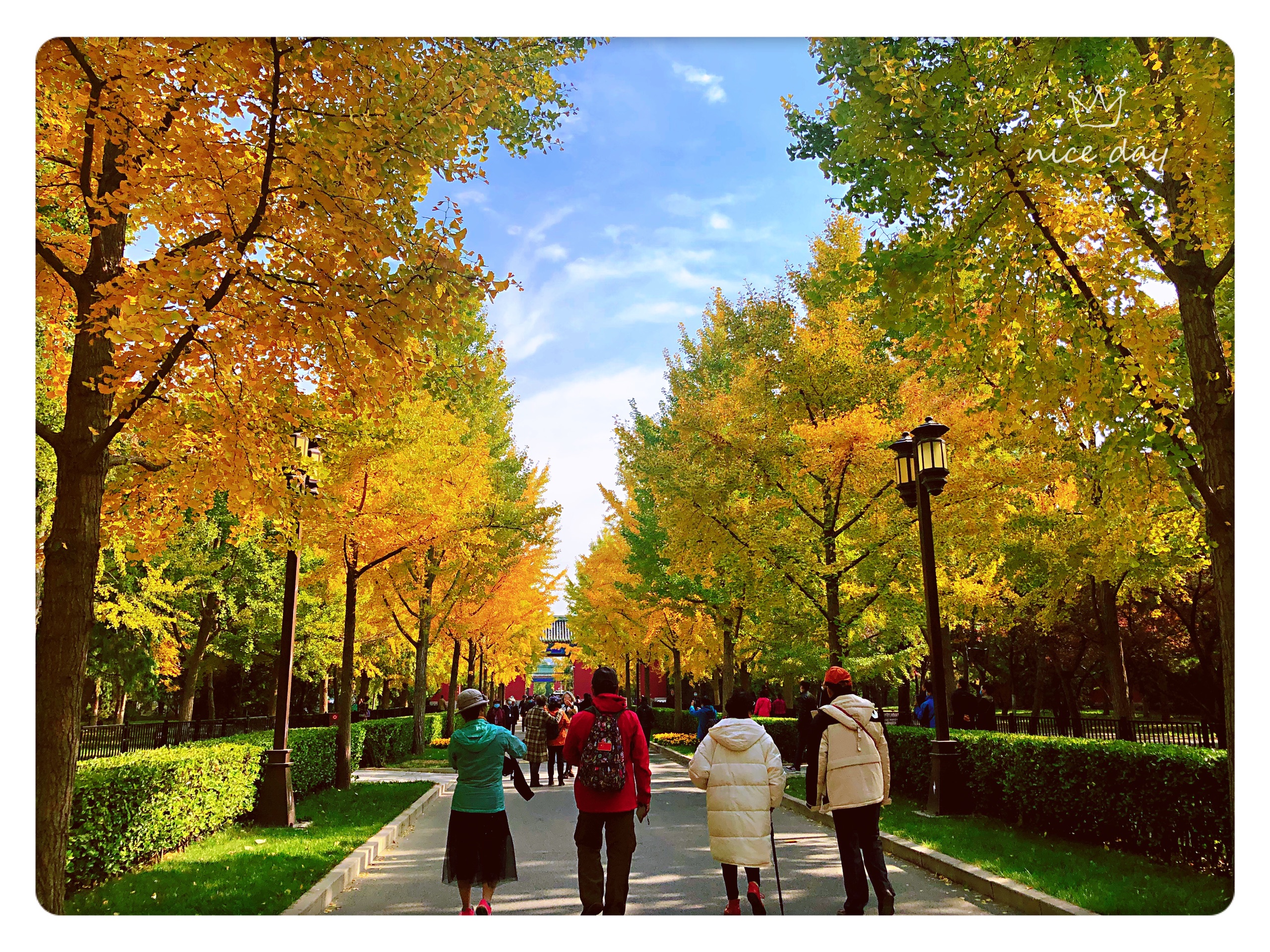 北京看银杏的地方-色彩斑斓的地坛之秋-地坛公园