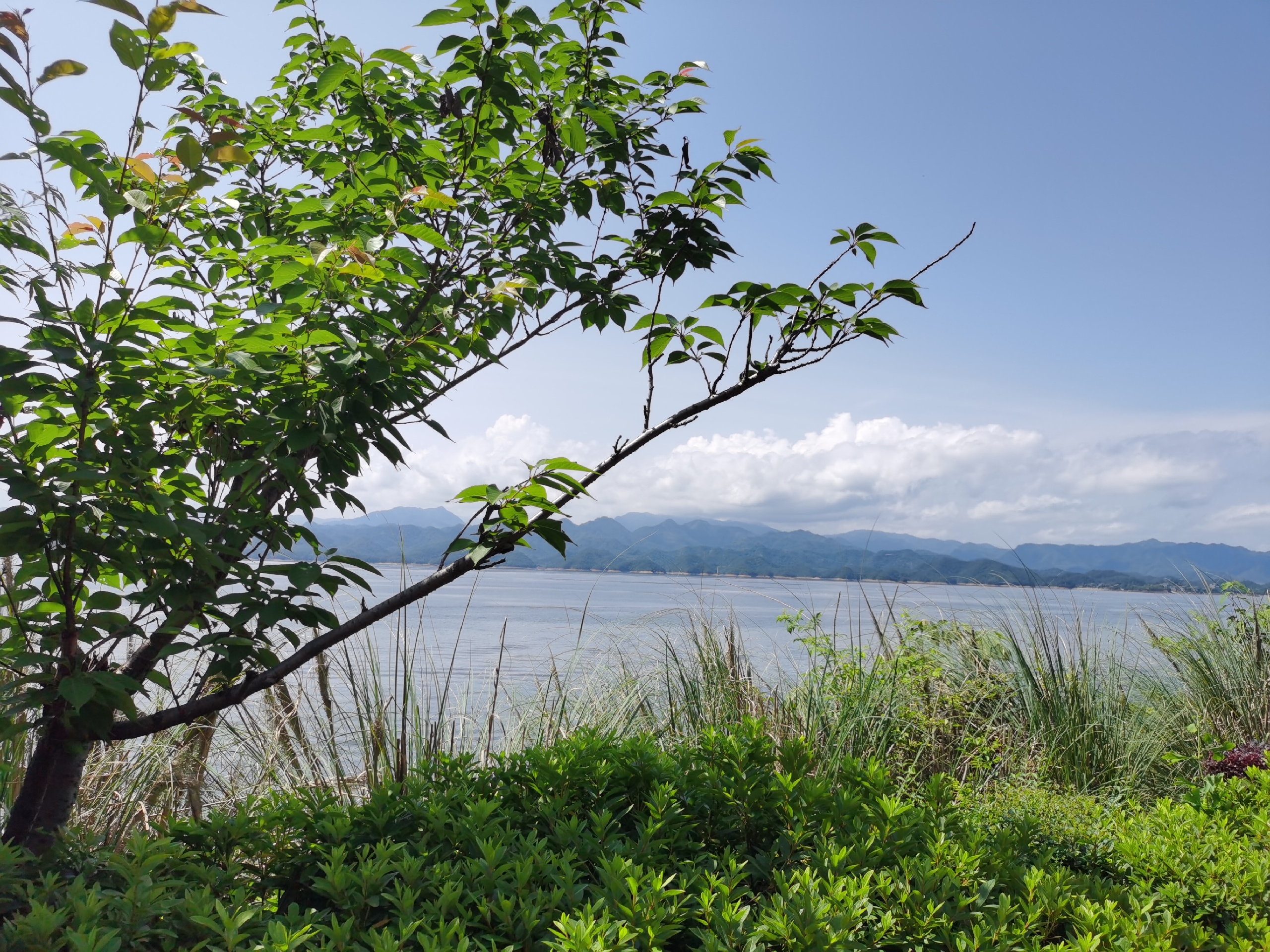 喝汤吸氧的千岛湖湛蓝的天空，绝佳的湖景