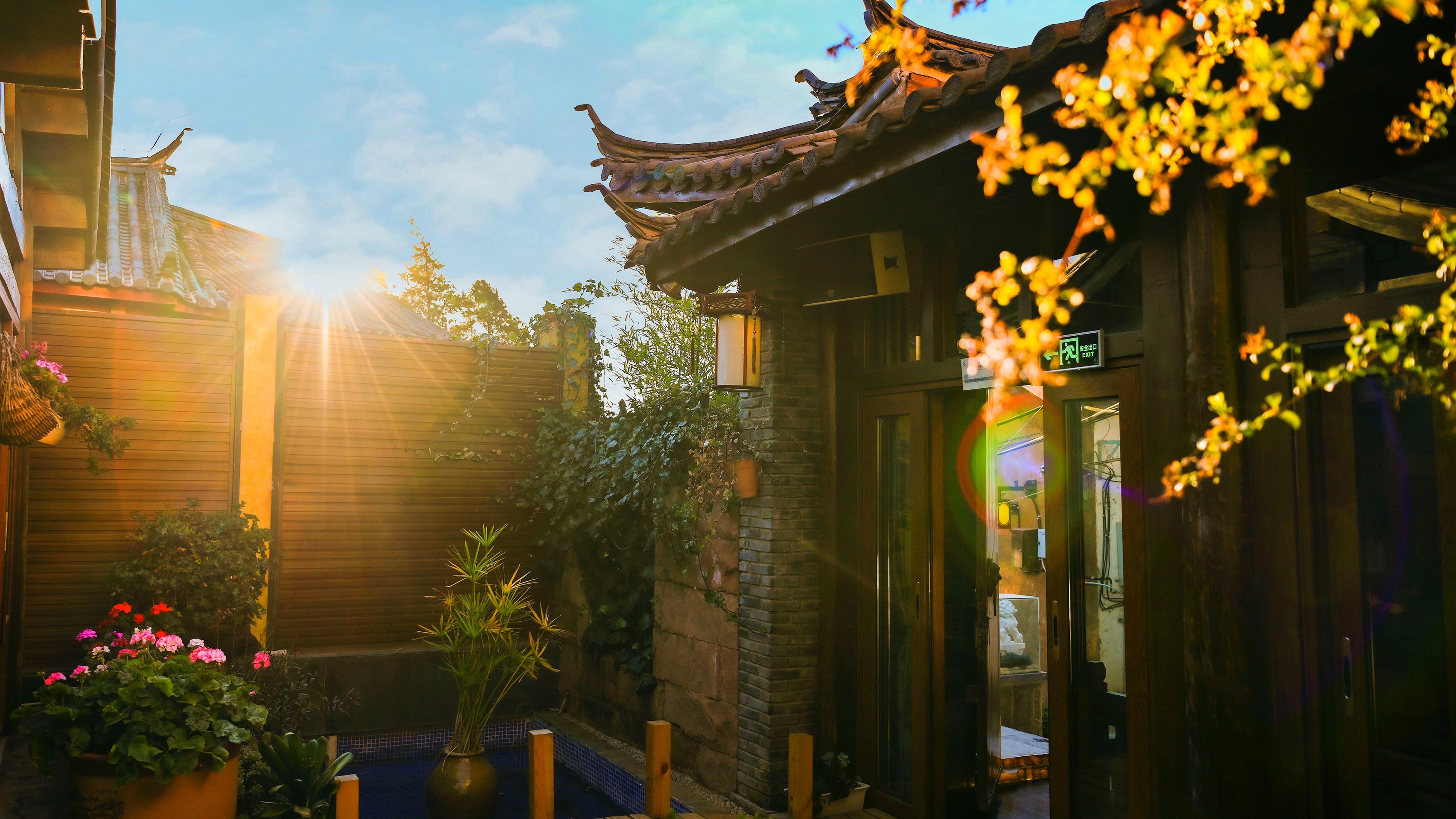 云南丽江的冬天之所以不同，是因为这里有温暖的阳光有隽美的庭院，有惹人爱的萌宠，有醉人的美酒