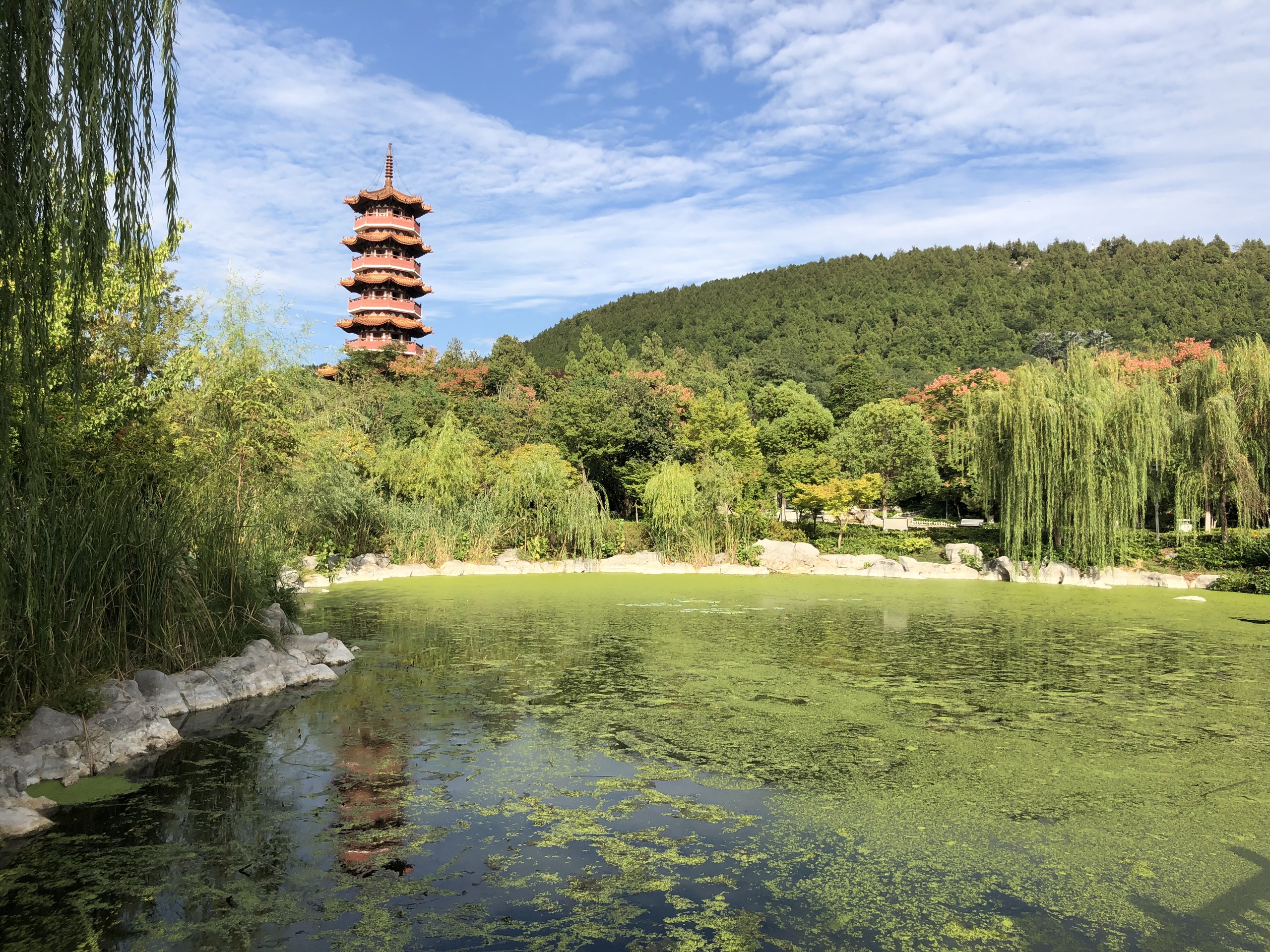 徐州云龙湖旅游景区-一个究极巨型城市公园，这个面积在国内很少有能比的