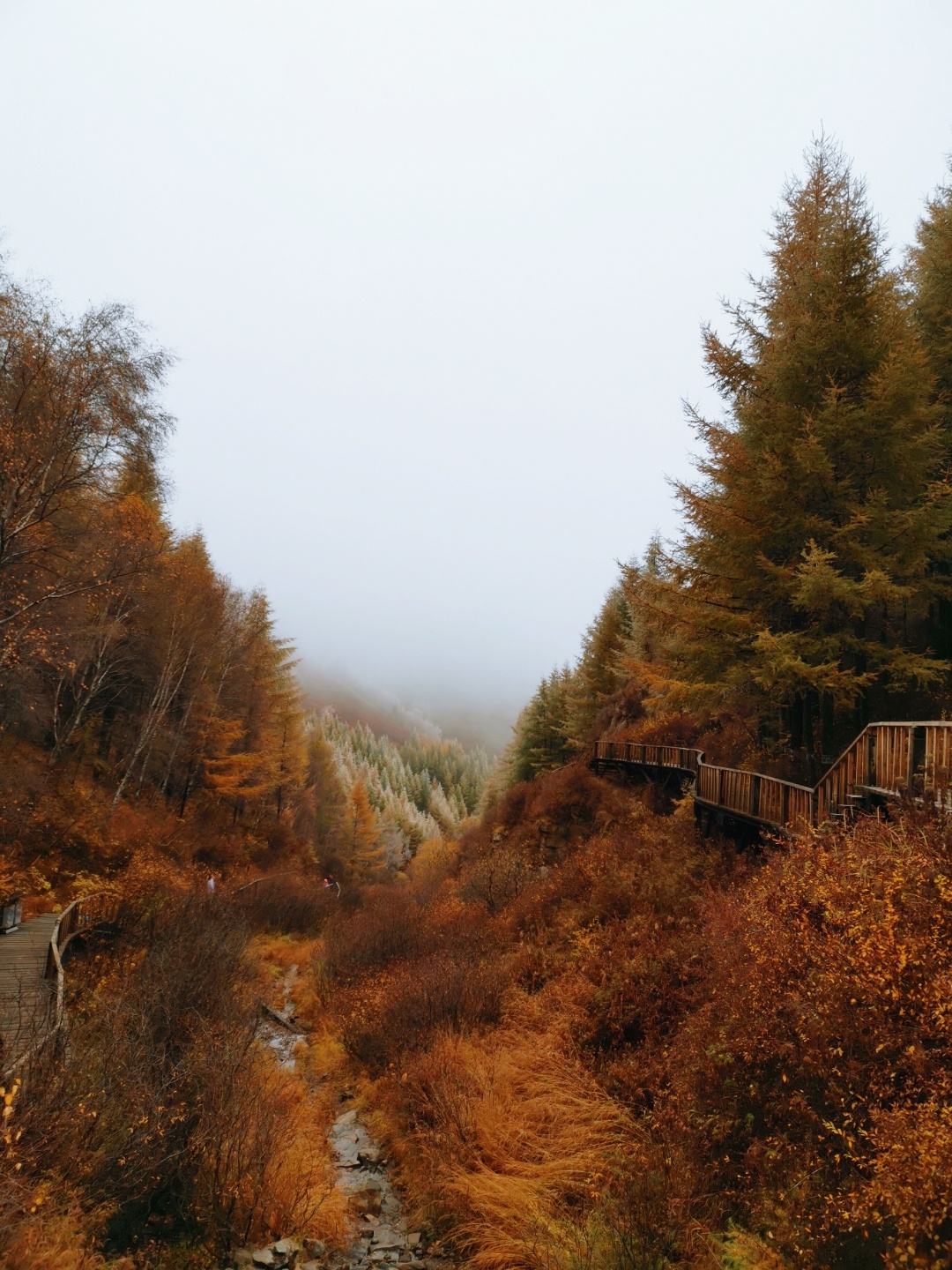 苏木山，人少景美的赏秋好去处