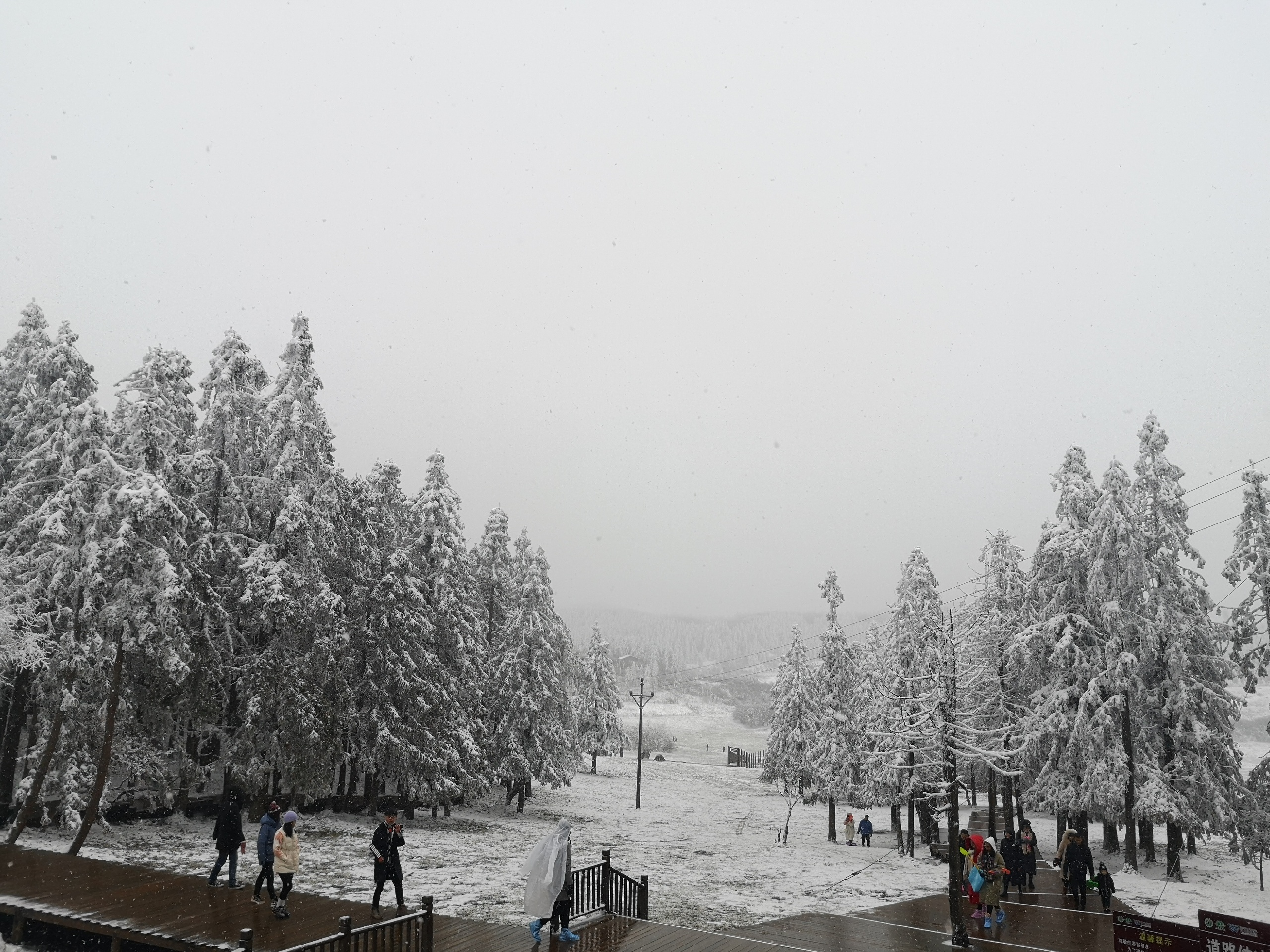 游仙女山雪景从天坑到仙女山大摡1小时的车程，开始并不相信山上会下雪