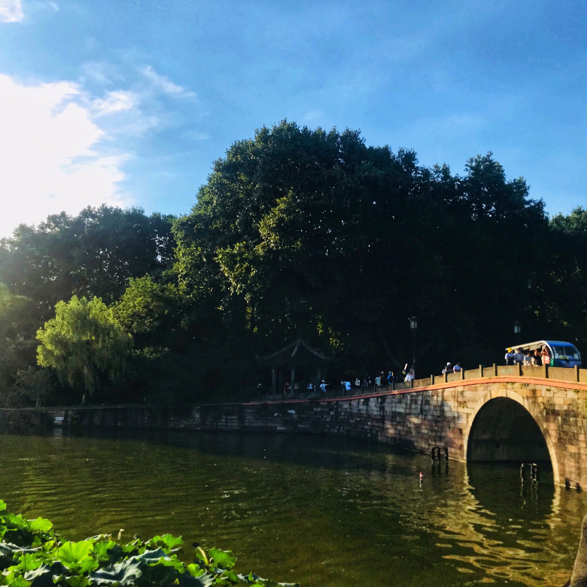 2020夏天游杭州西湖虽然天气很热，但是来了杭州，还是要到西湖走一走呀