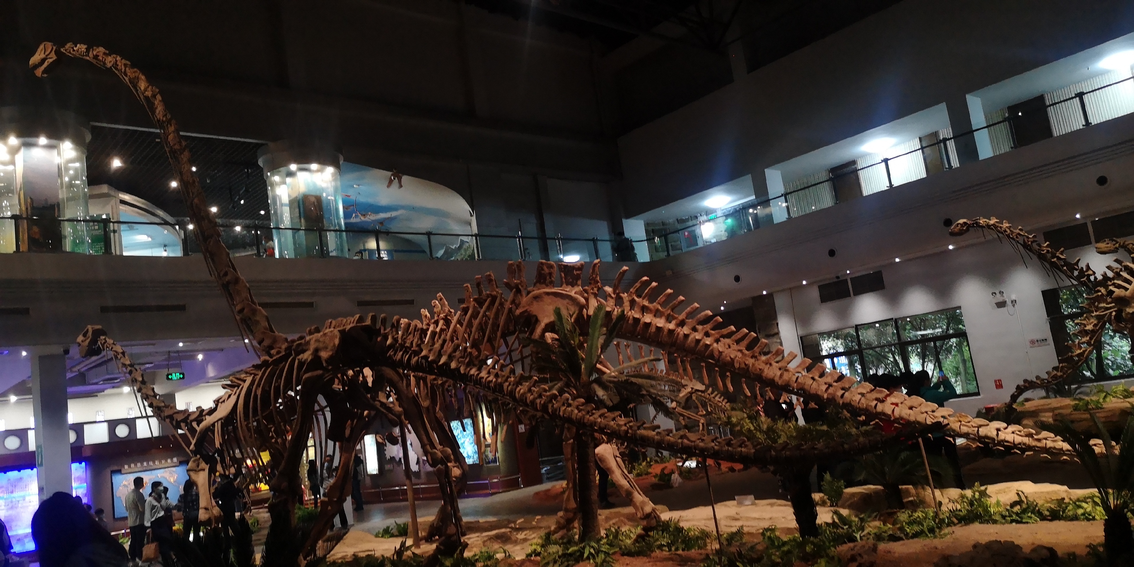 自贡恐龙博物馆_如果有上小学初中的孩子这是个非常好的科普园地