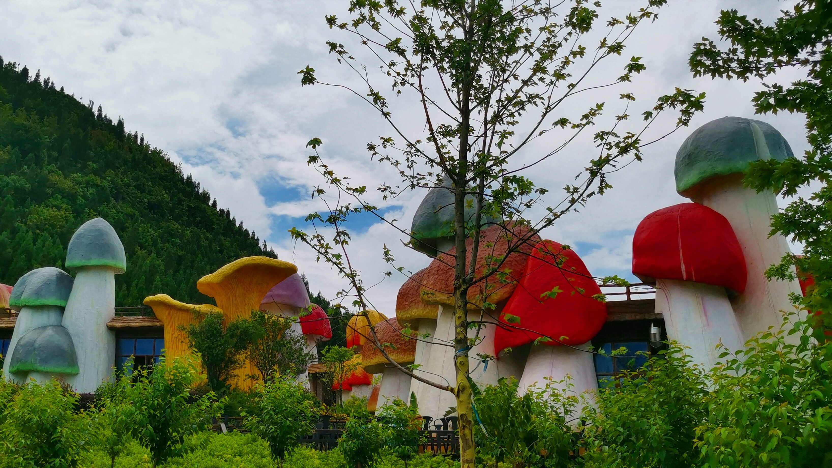 贵州醇景区-很适合情侣去，有很多拍照打卡的地方，里面有一条蘑菇街