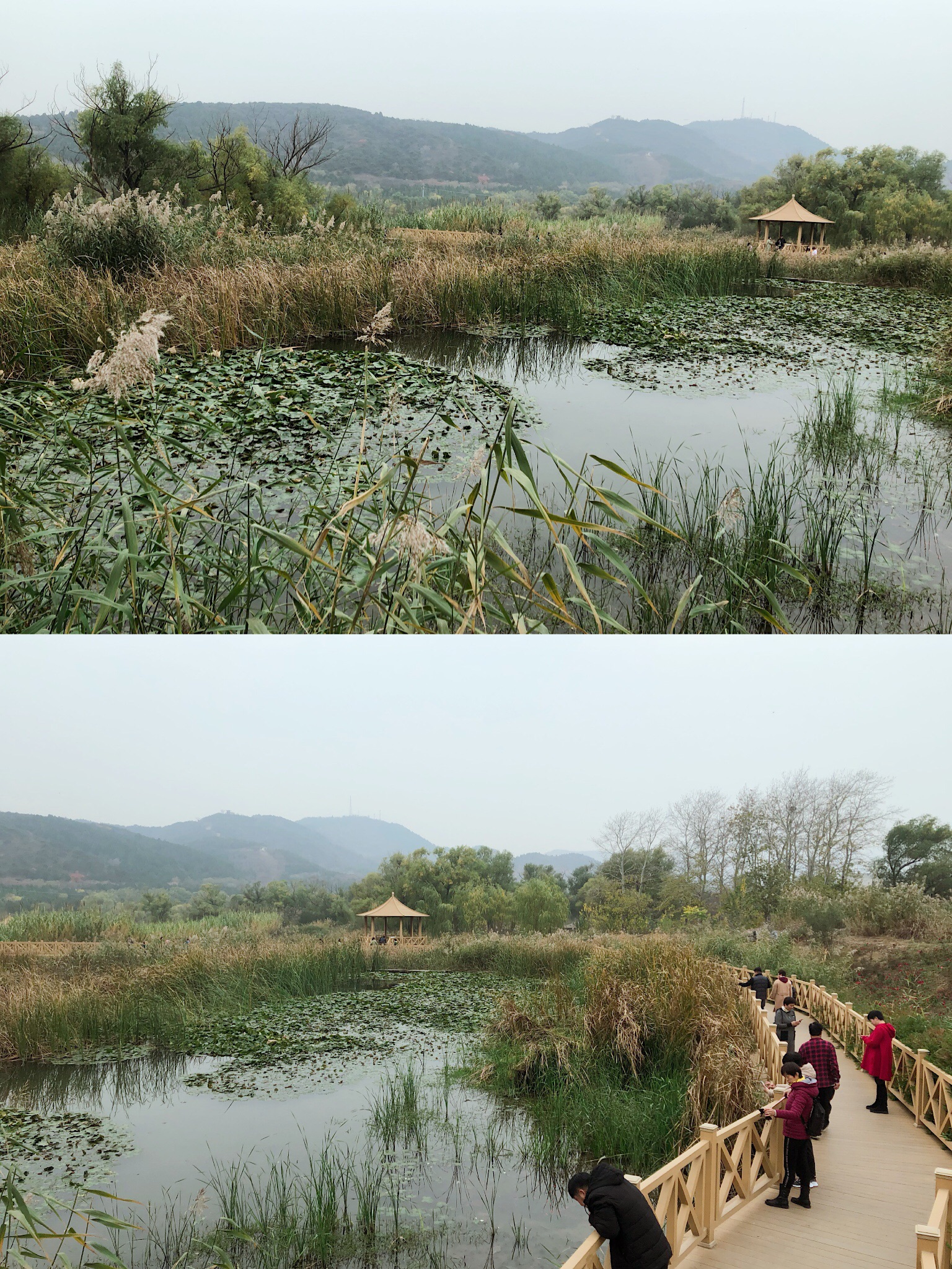 溜娃拍照两相宜的京郊湿地公园_牛口峪湿地公园