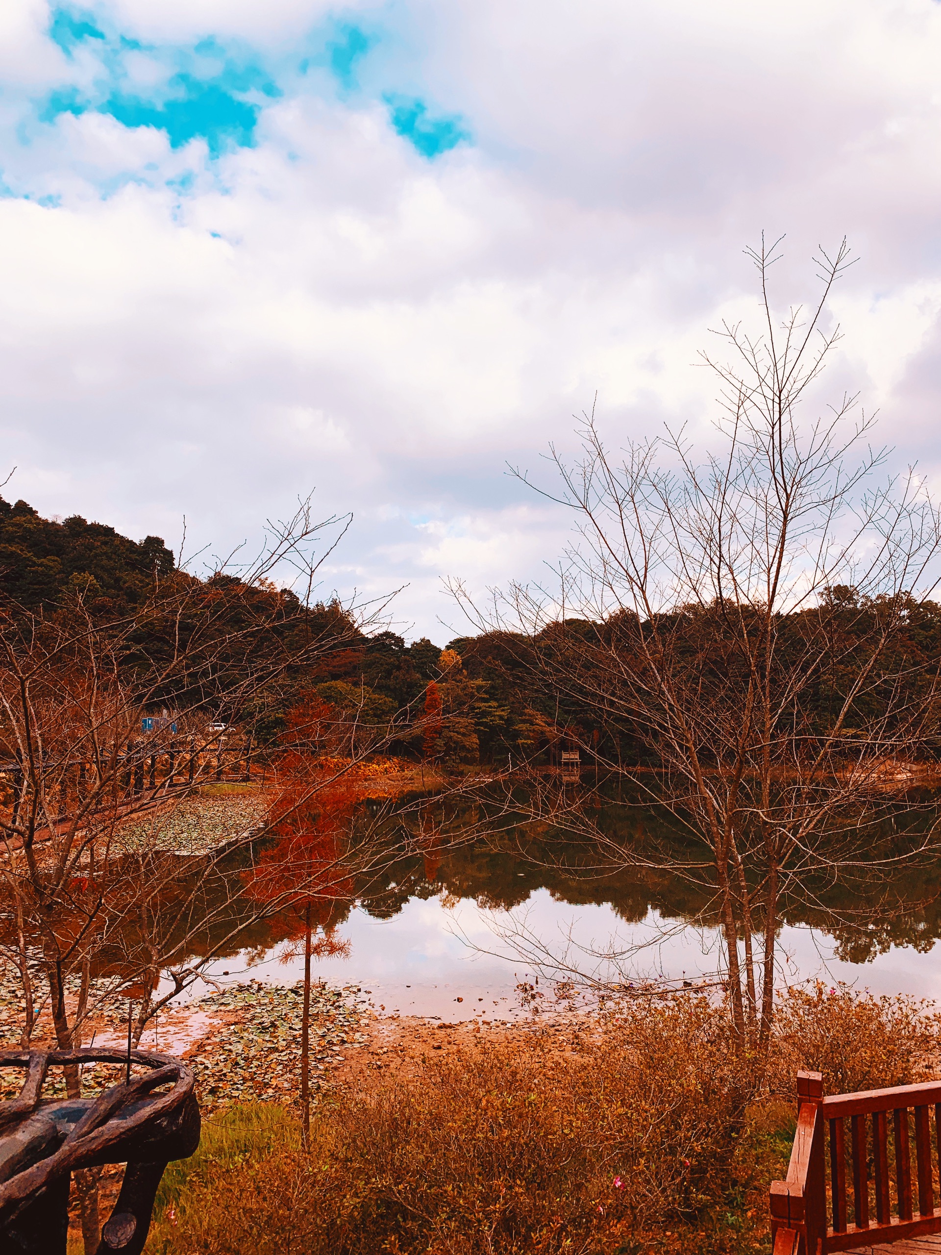 石门国家森林公园红叶节！广州难得一见的秋天景色