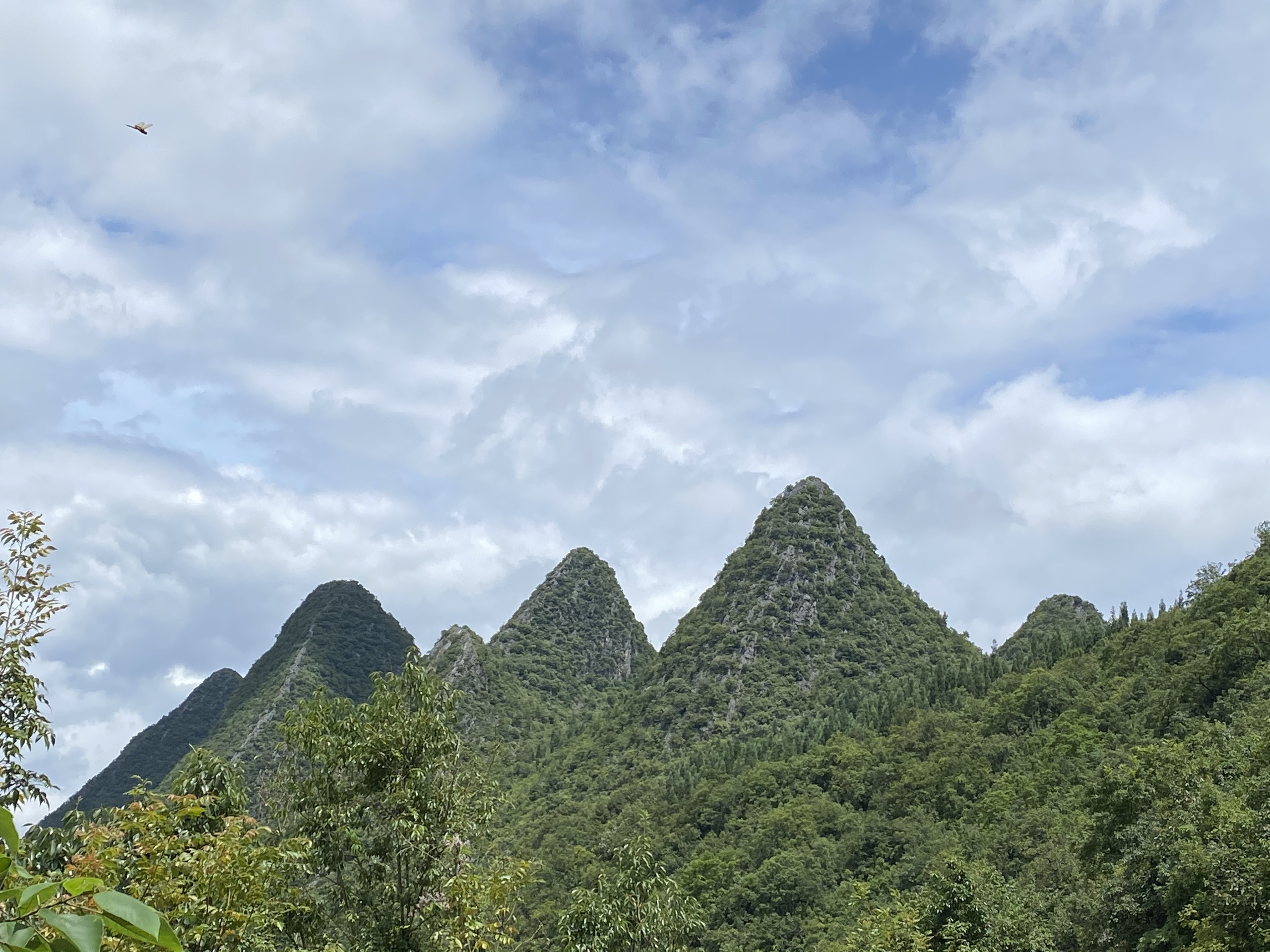 贵州兴义万峰林风景区-中国最美的五峰林之一