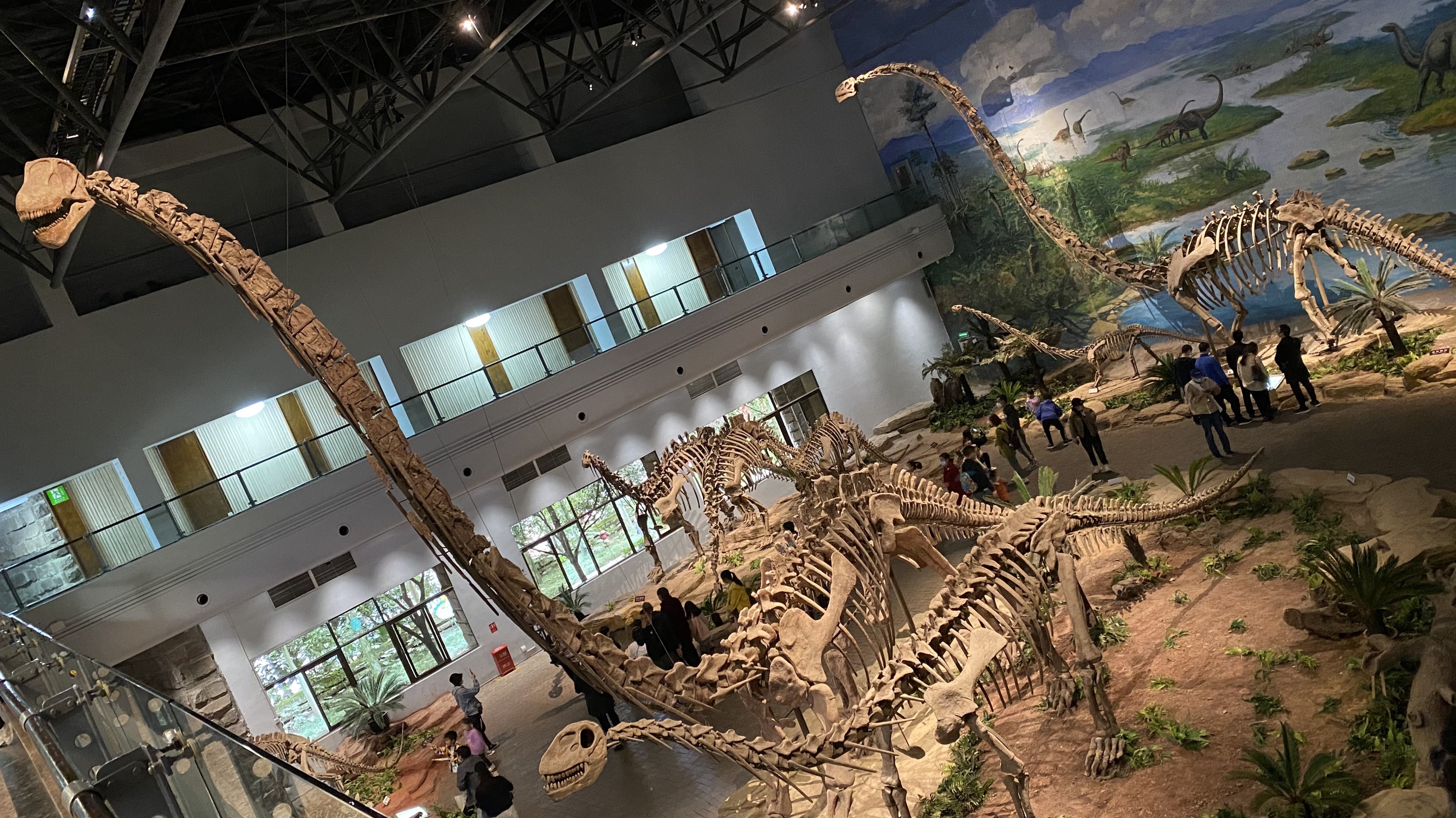 自贡恐龙博物馆-2020最新自贡恐龙博物馆图片大全