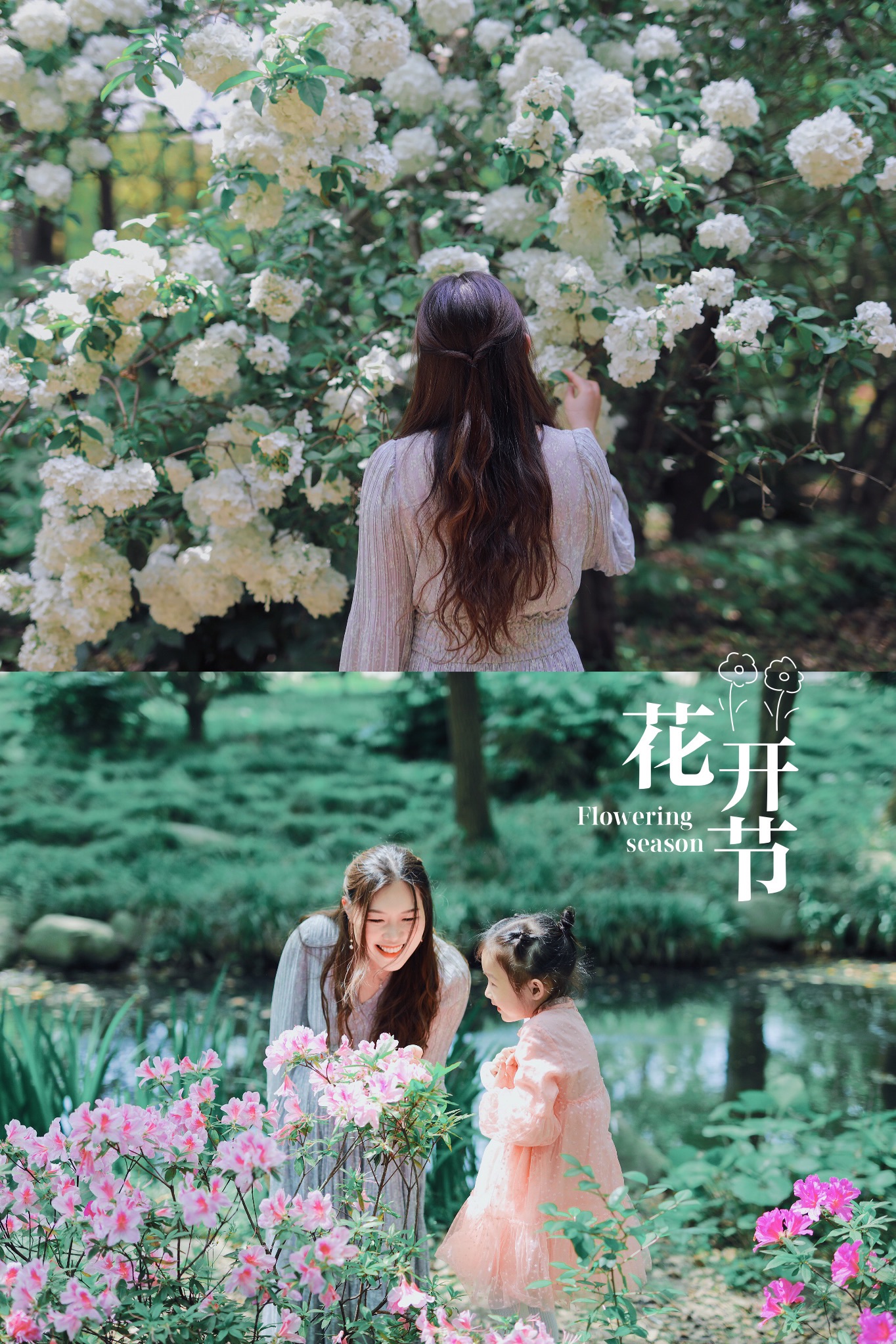绣球花落，杜鹃花开，森林公园五一出行指南-上海共青森林公园