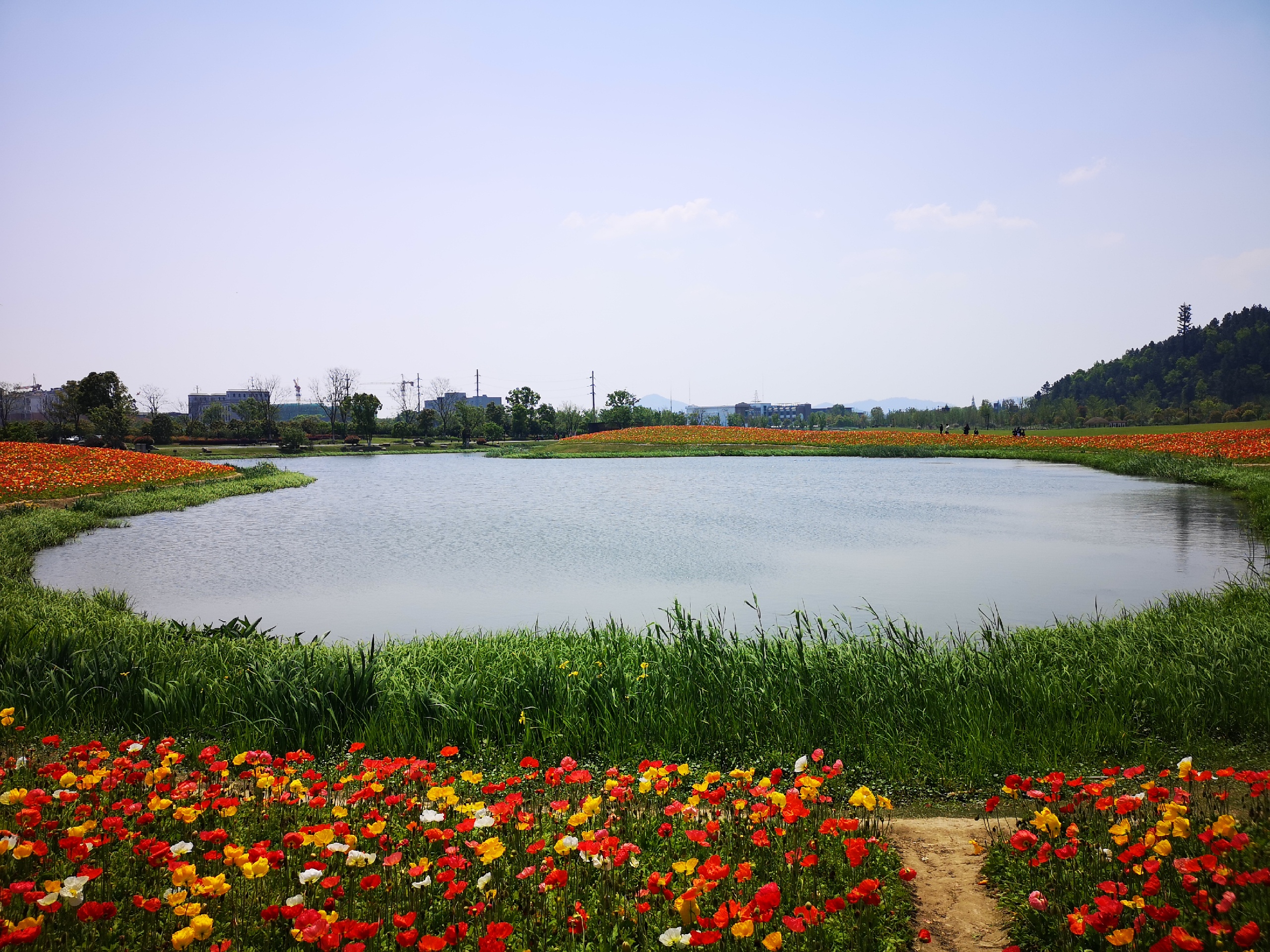 径山花海，杭州周末春季打卡好地方！