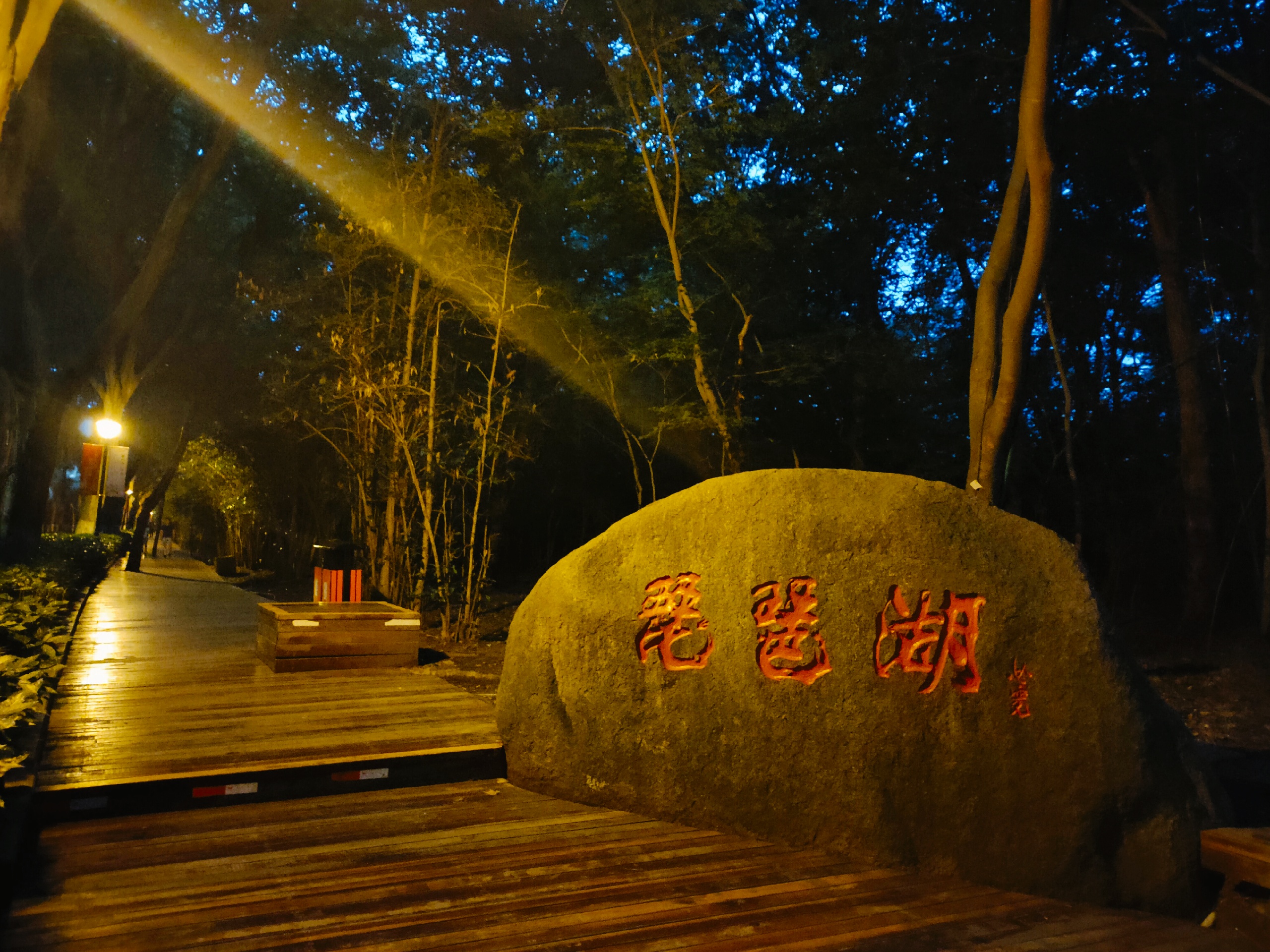 紫霞湖公园-夏日悠长与萤火虫更配