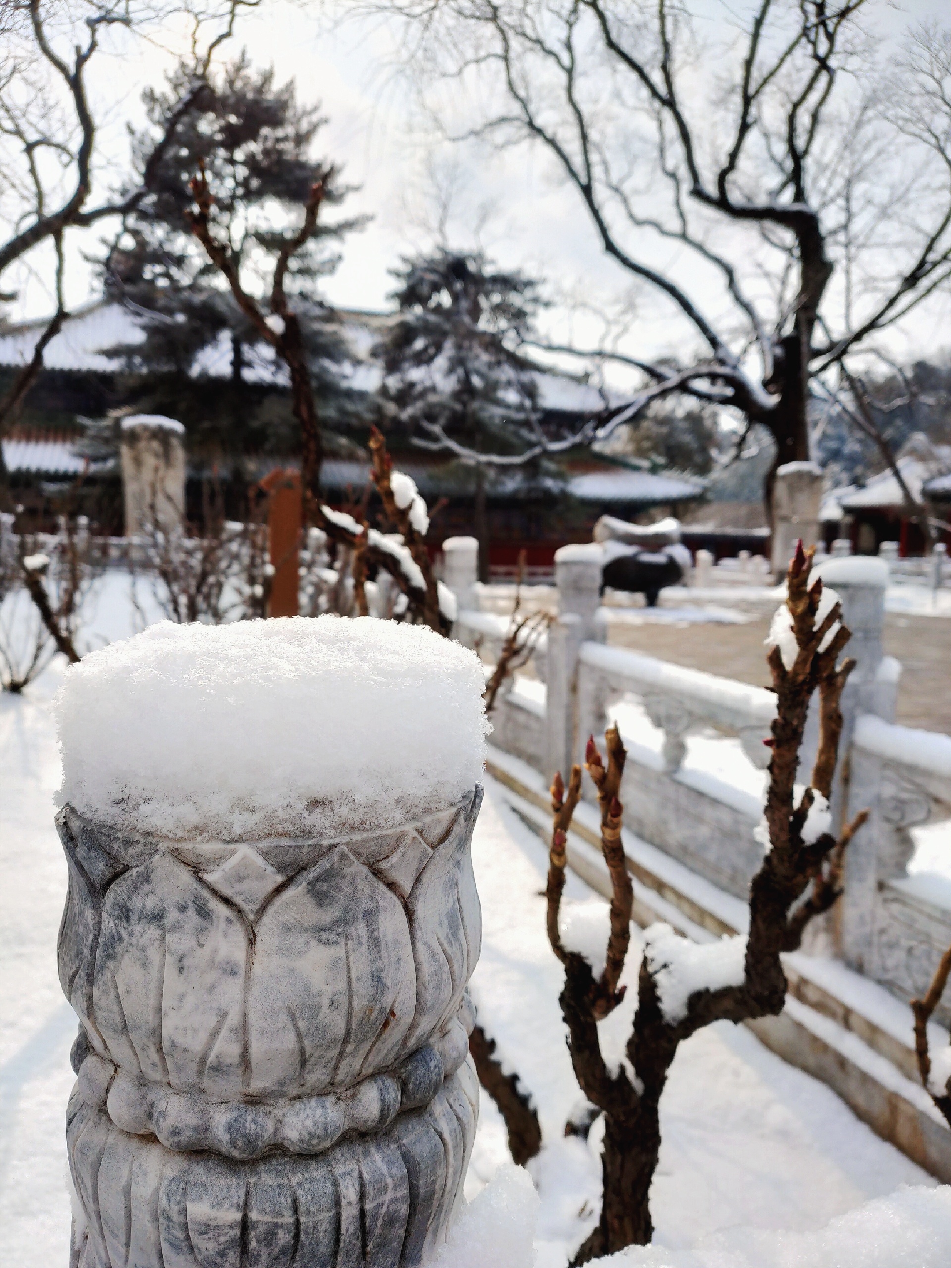 北京绝佳赏雪胜地-潭柘寺，爱极了这红墙琉璃瓦