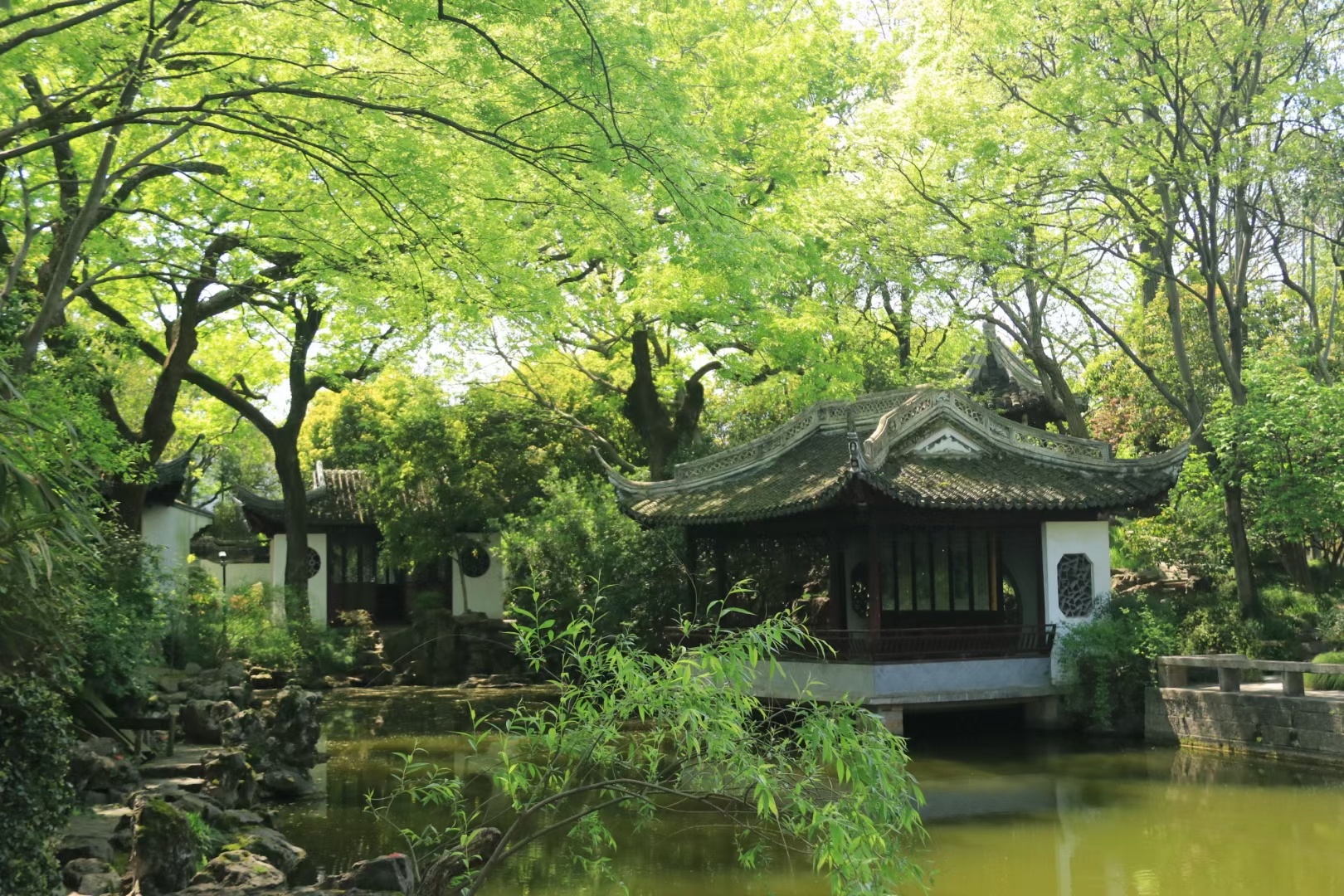 上海秋霞圃_精致的古老园林，很小，江南园林