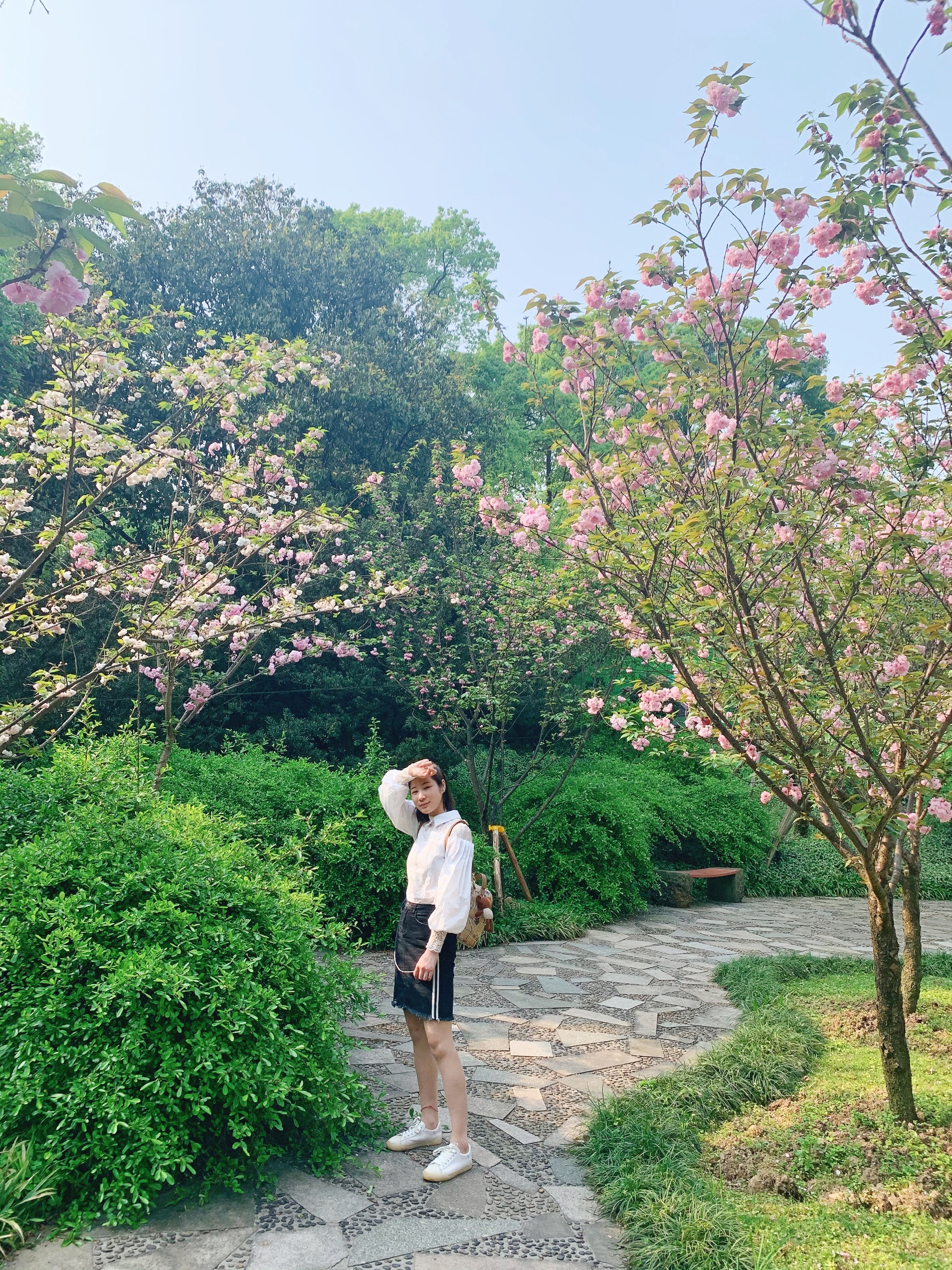 重庆三月正是赏花好时节_重庆南山植物园