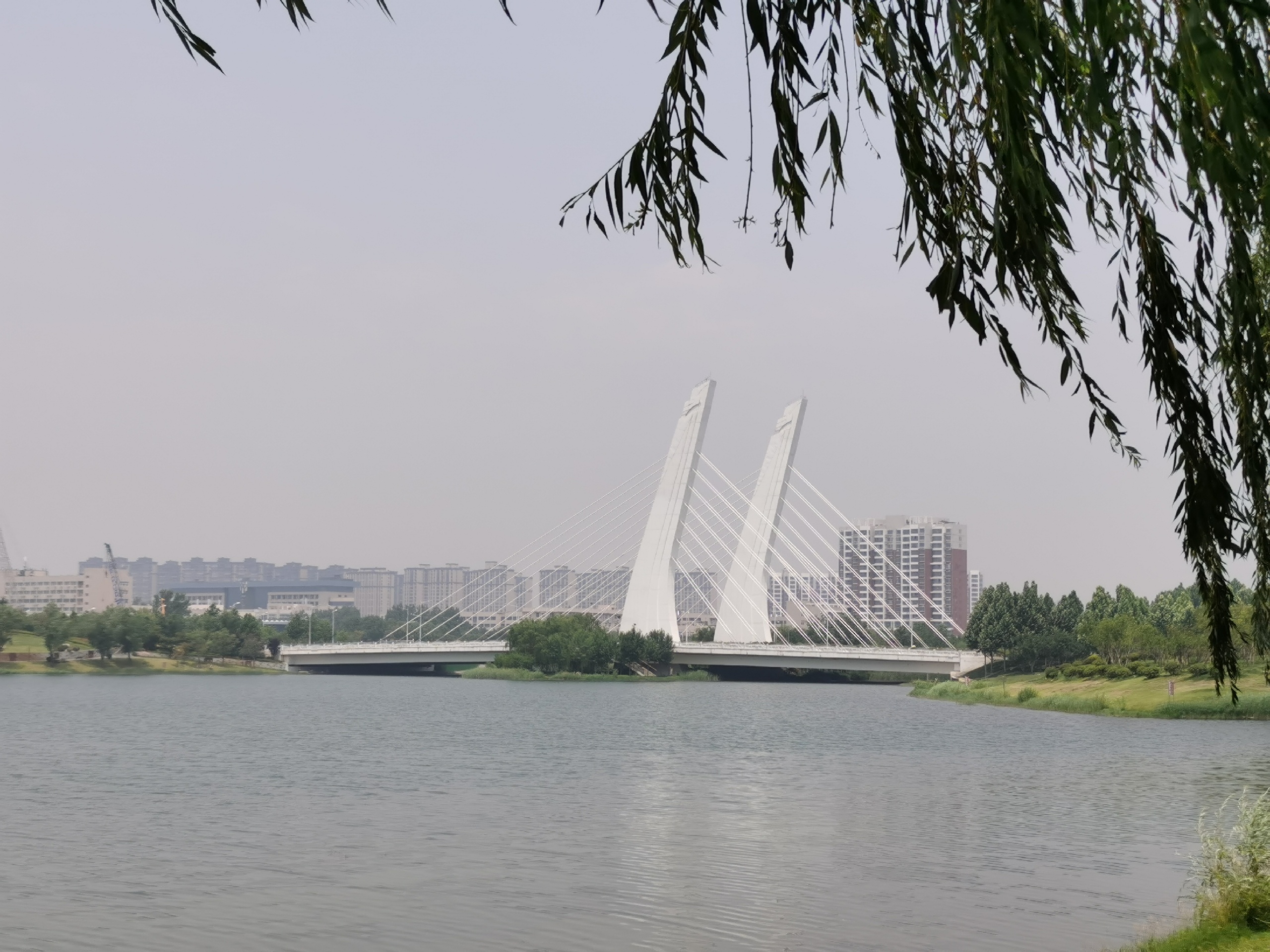 郑州周末好去处_龙子湖公园