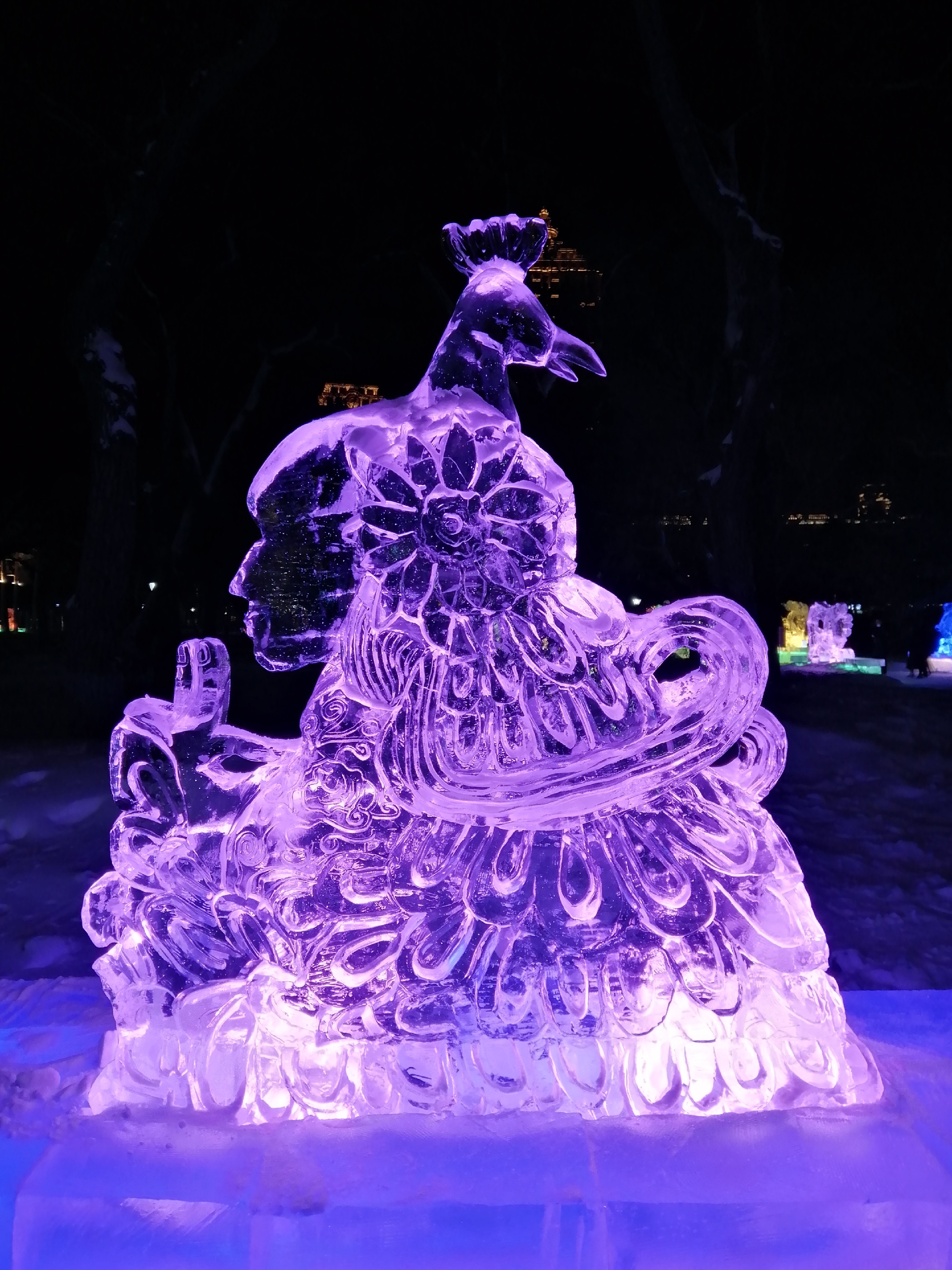 哈尔滨兆麟公园，大学生冰雕展。