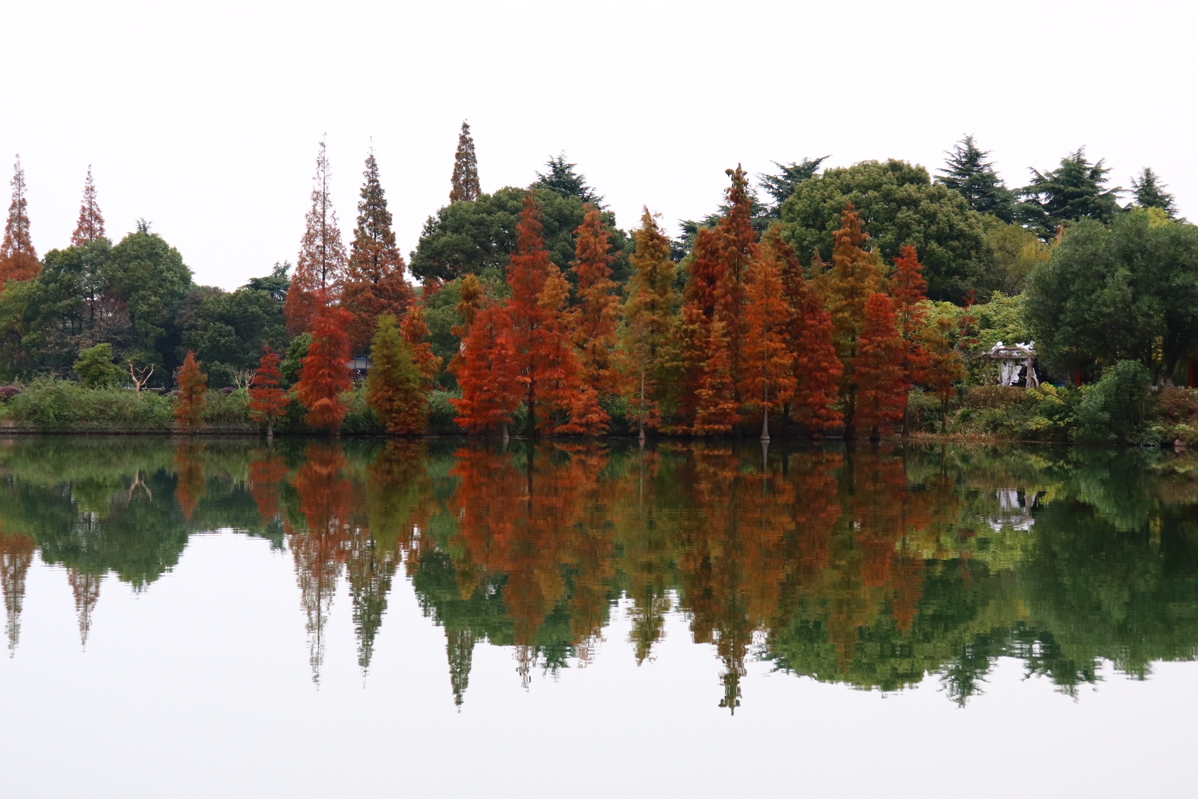 特色推荐:尚湖内有水上森林，做竹筏可观赏。秋天很漂亮