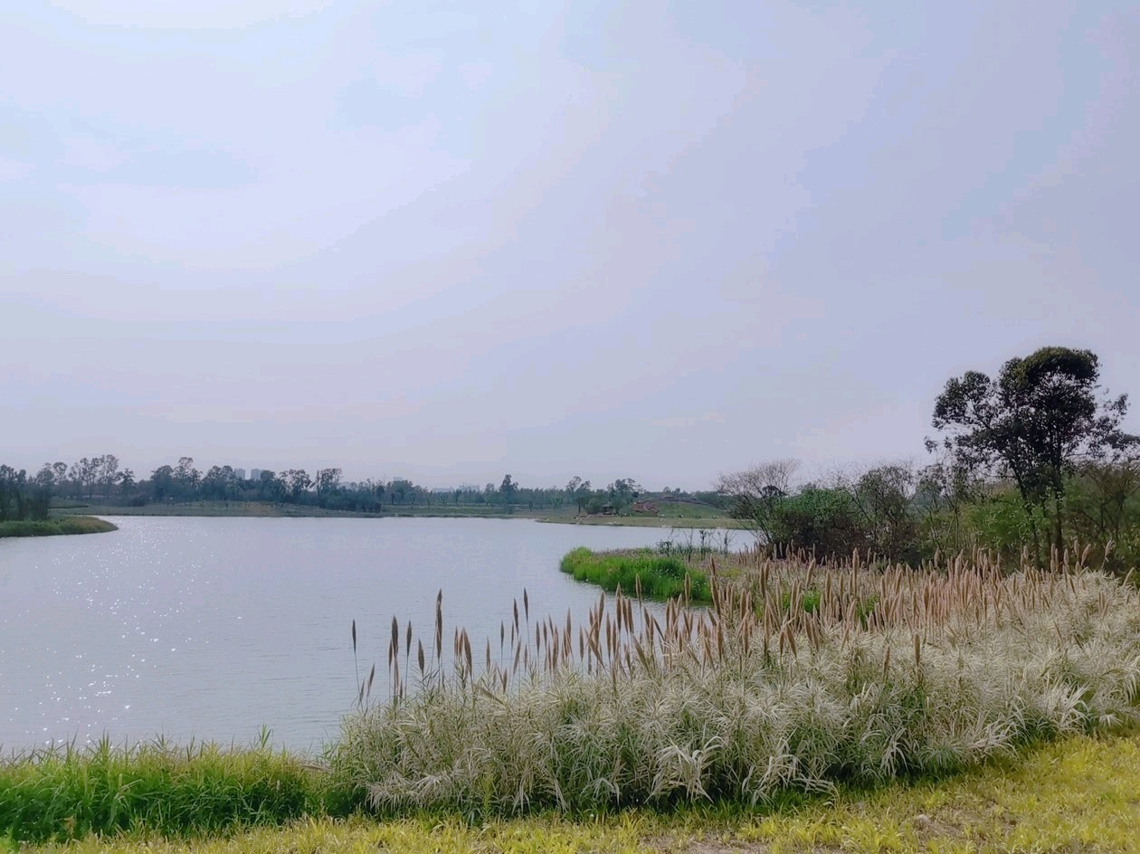 成都周边周末好去处—青龙湖湿地公园