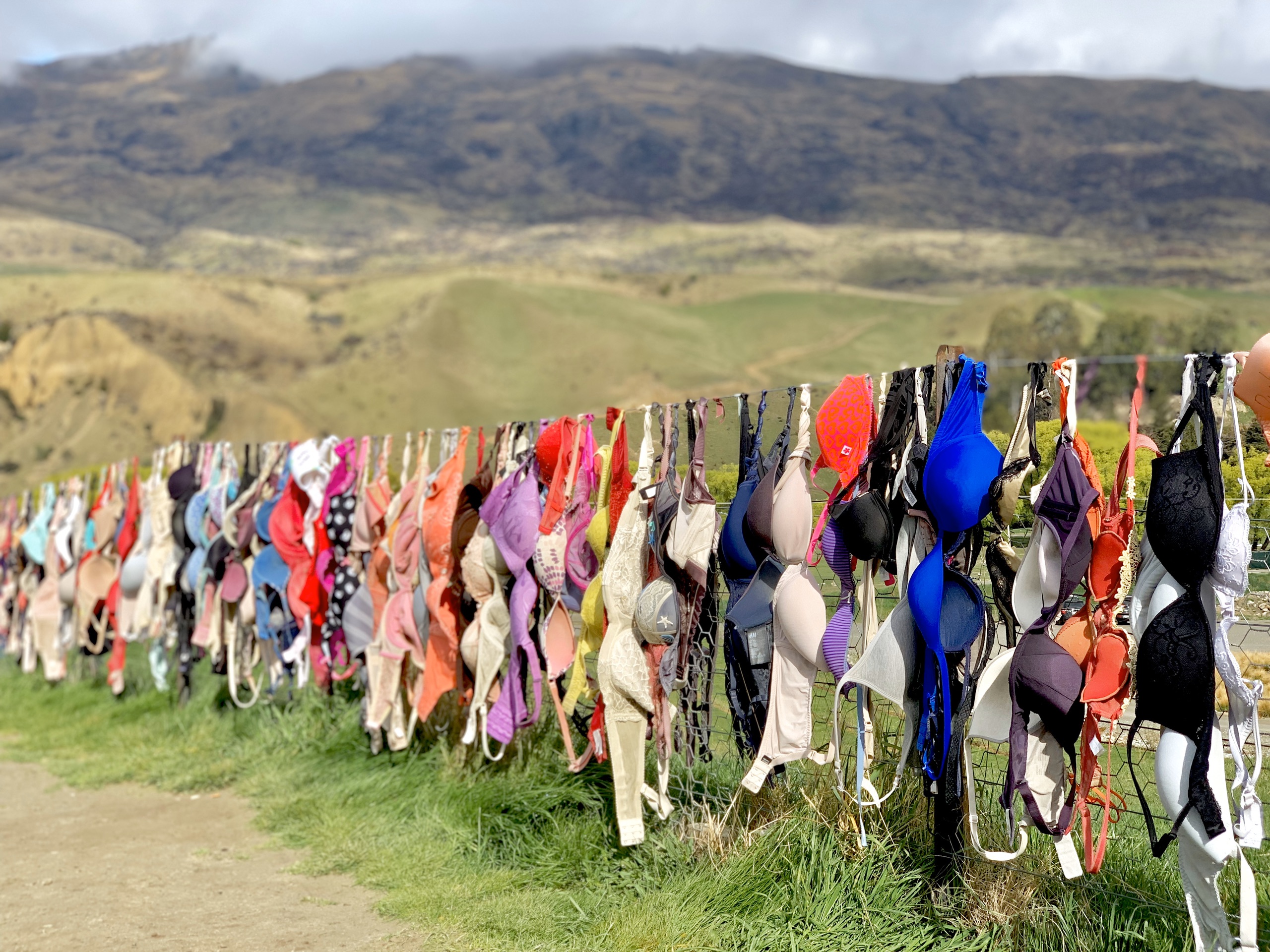 新西兰最有名的“内衣墙”自驾必打卡地_卡德罗纳胸罩围栏