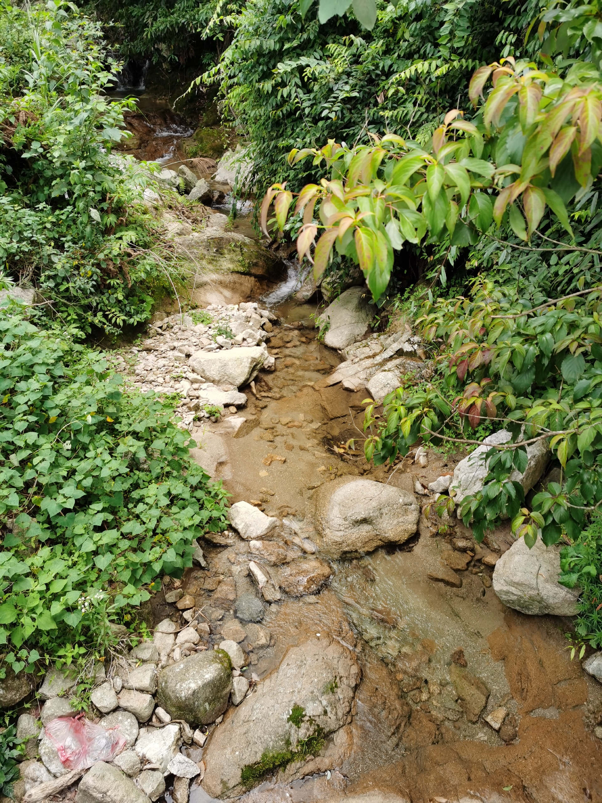 炎陵，一个最美丽的乡村旅游目的地_炎陵神农谷国家森林公园