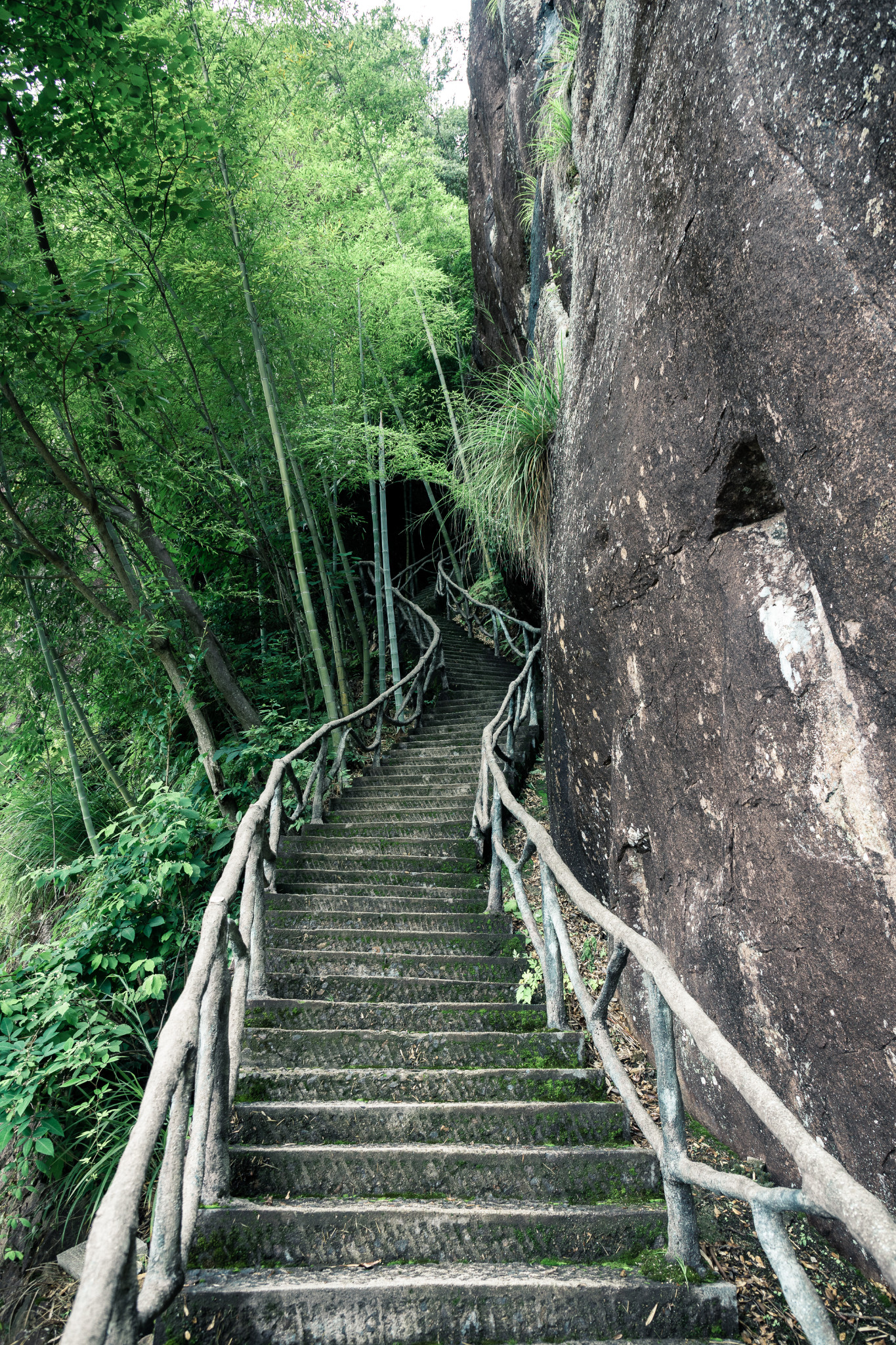 遂昌南尖岩，带你去看瀑布、竹海、石林和云海