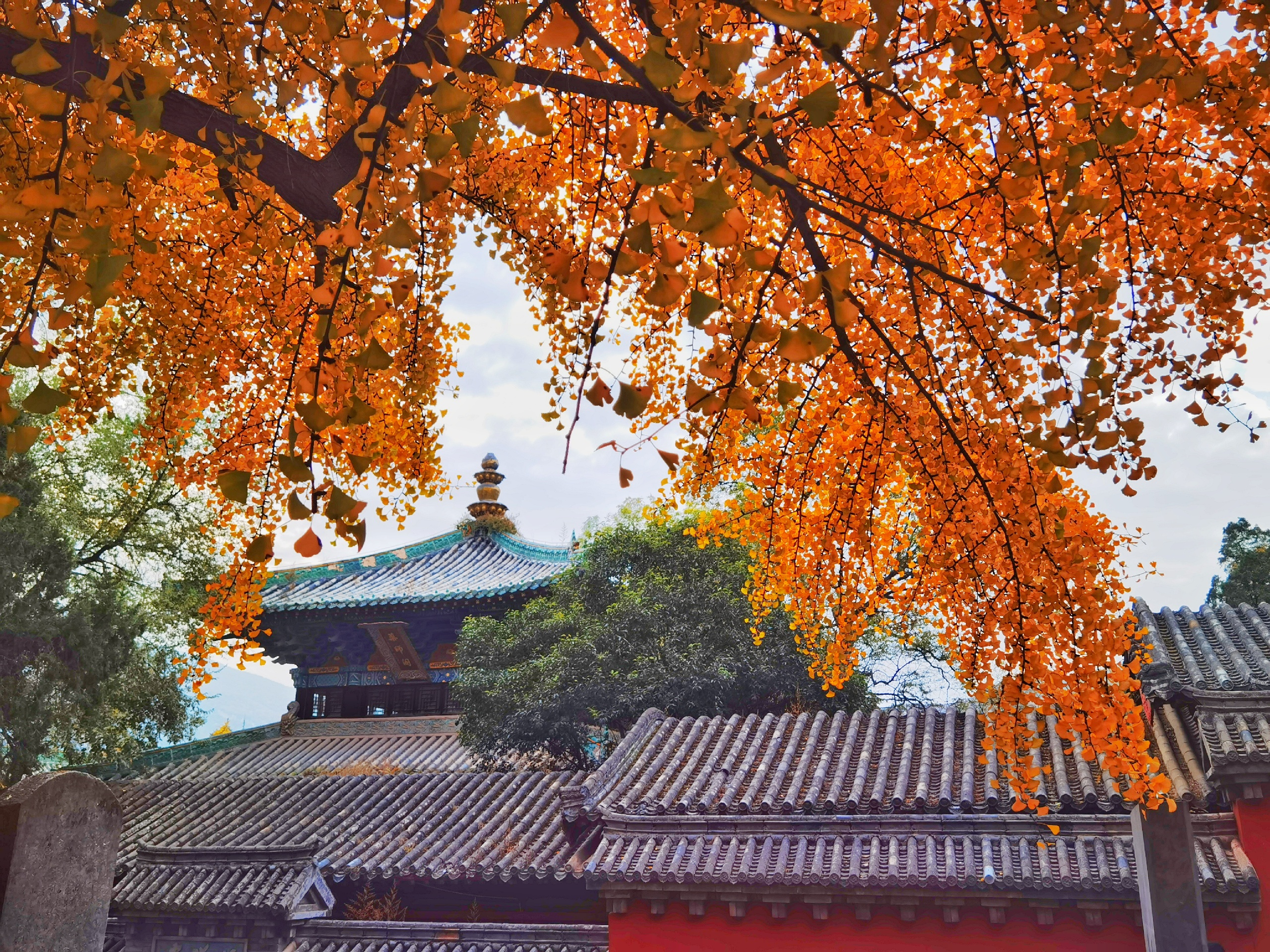嵩山少林寺这里的秋天太美了