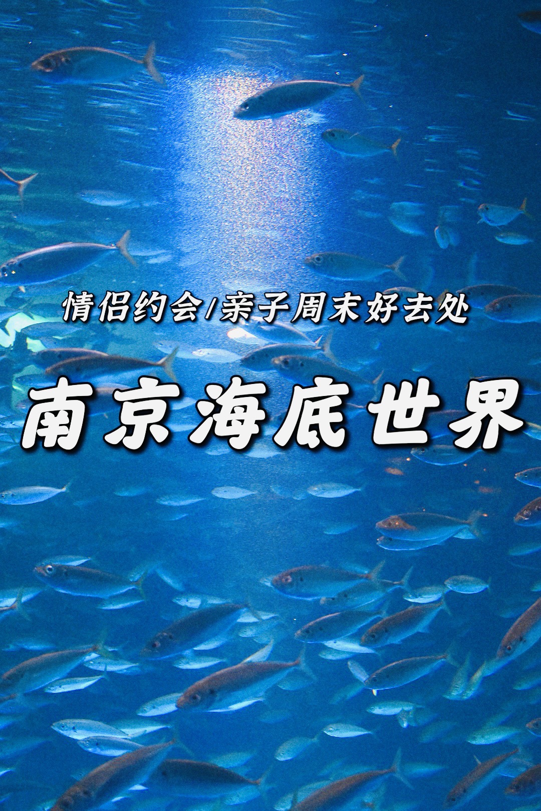 南京周末好去处南京海底世界