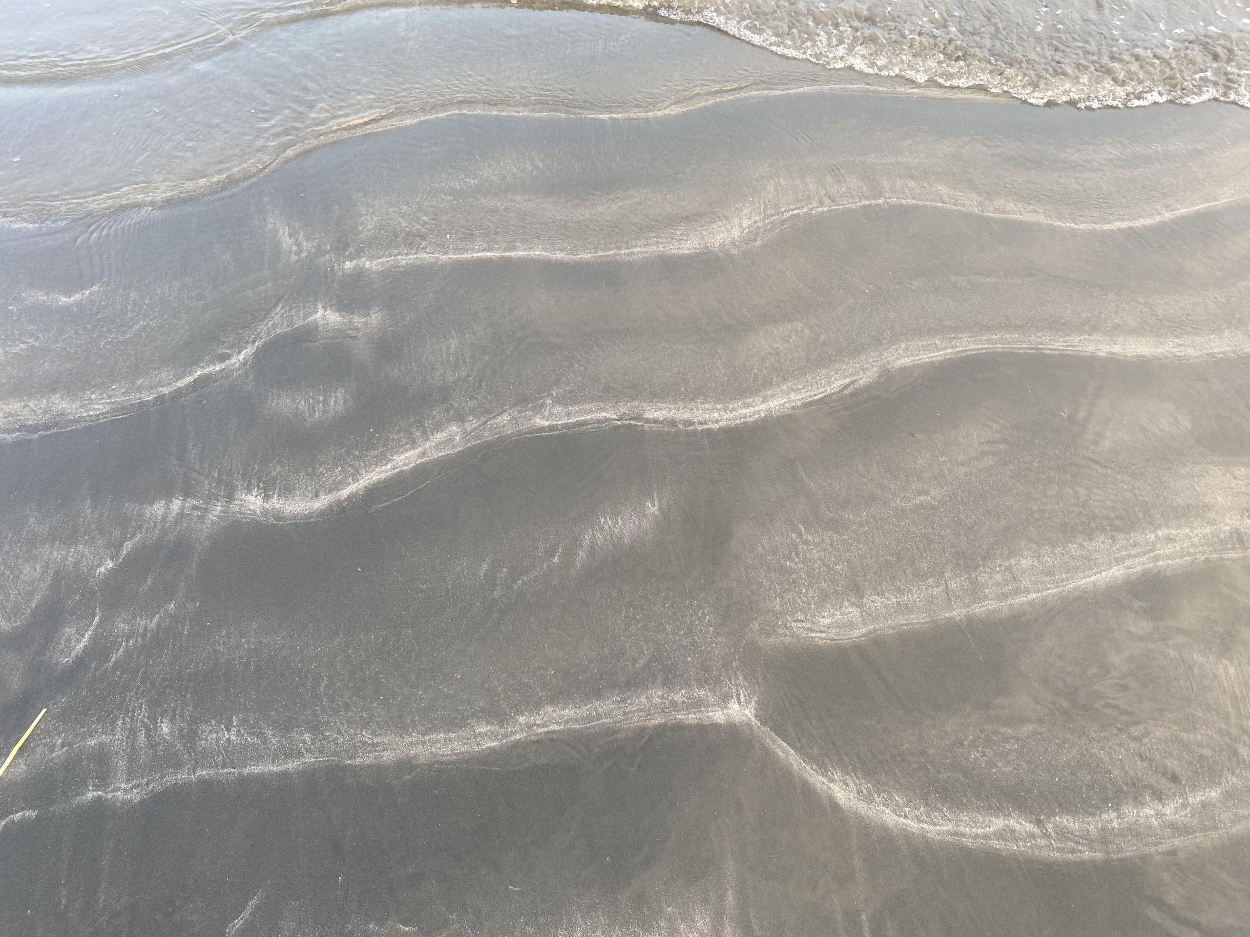 浪琴湾_沙滩超级脏，比较多垃圾，沙也比较大