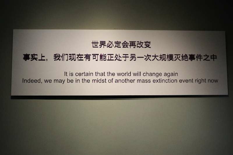适合孩子多去看看的重庆自然博物馆没有让我们失望