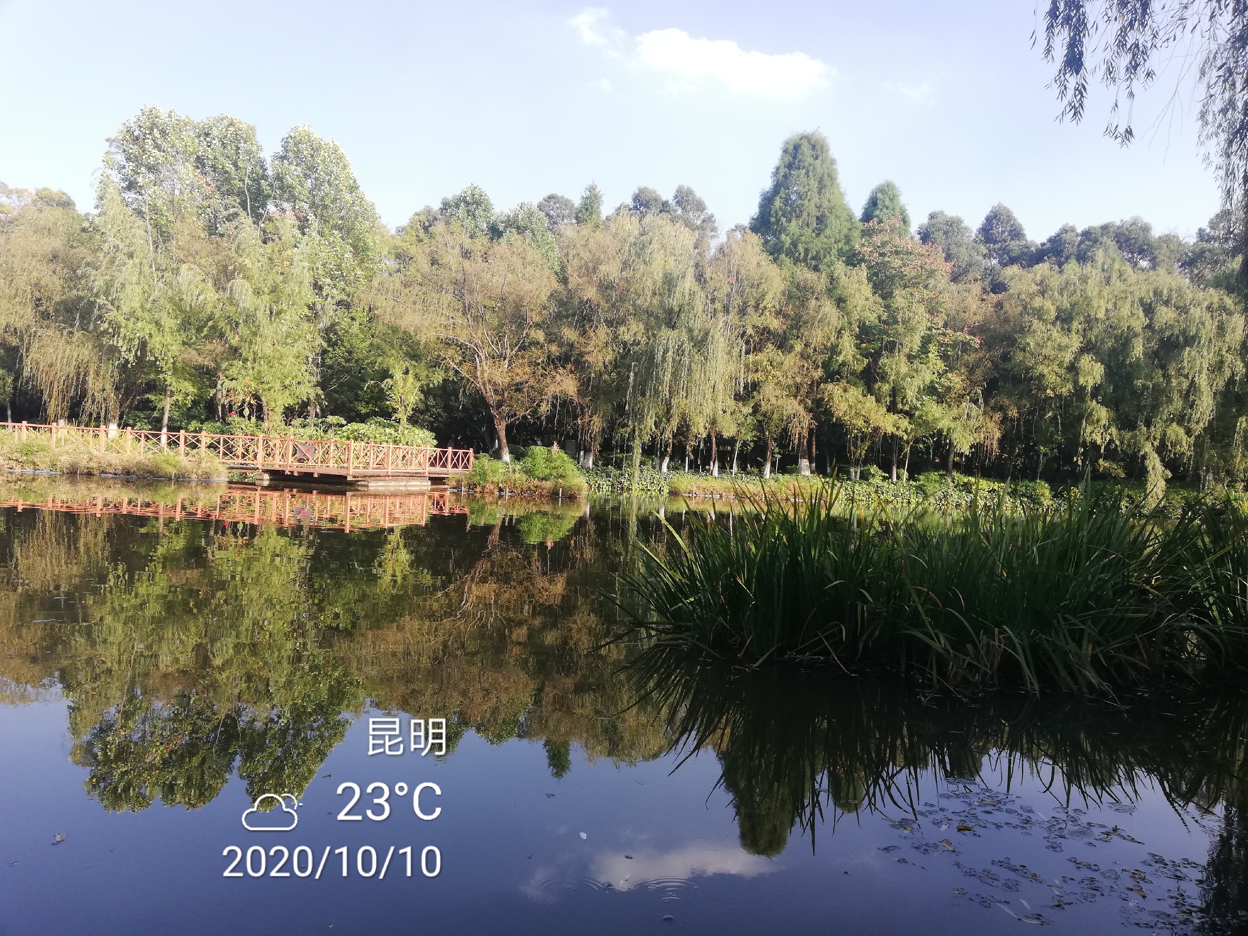 宁静的公园风景优美令人难以忘怀_2020年最新月牙潭公园图片