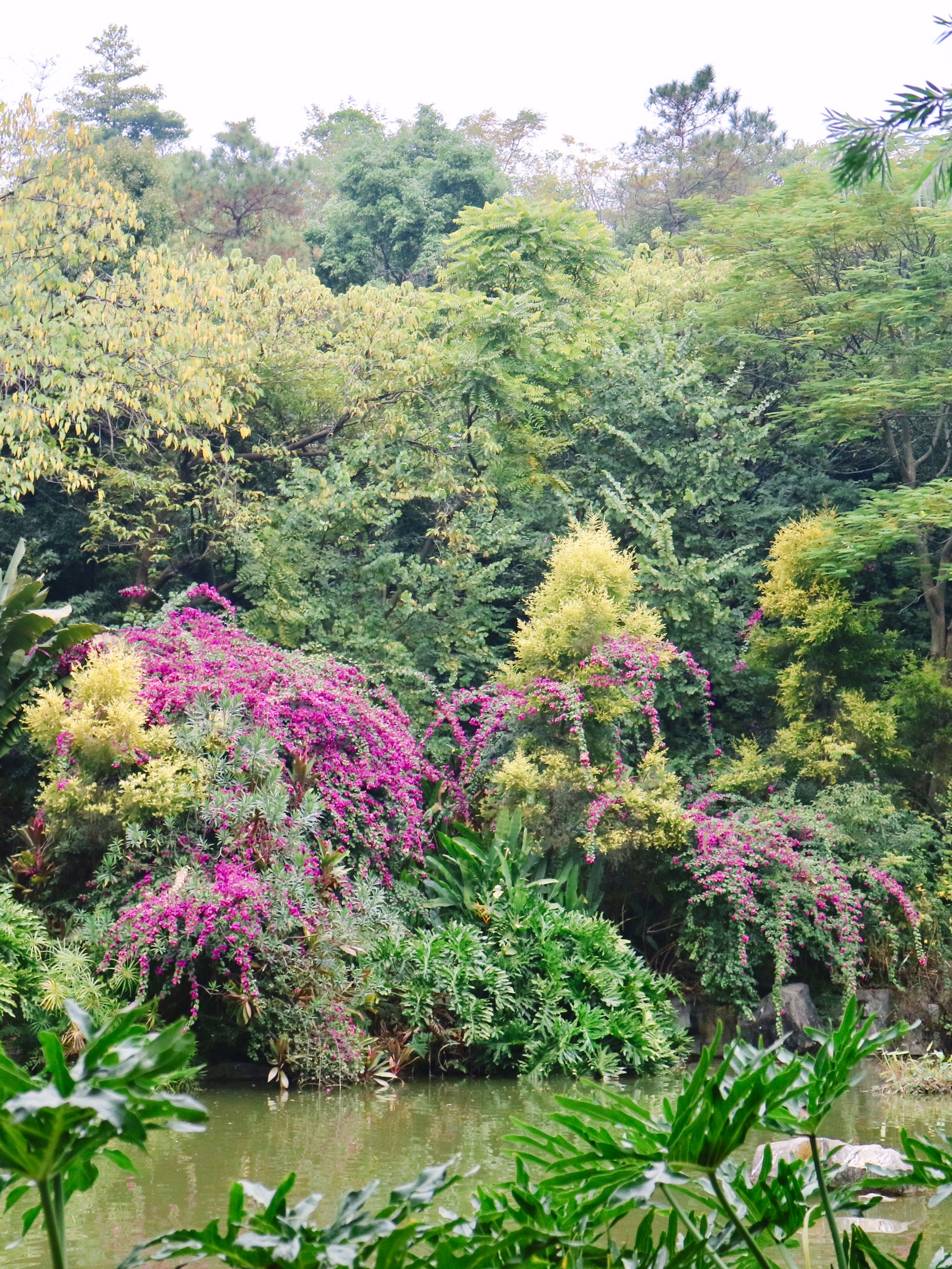 广州哪里可以赏花？推荐网红赏花地 | 云溪生态公园