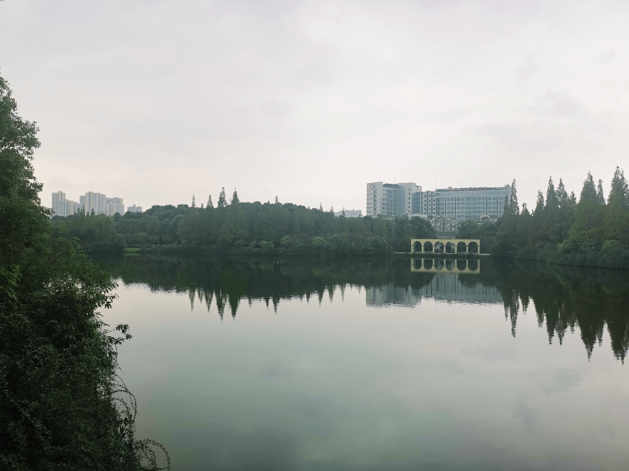 南湖公园-2020最新四川成都南湖公园图片大全