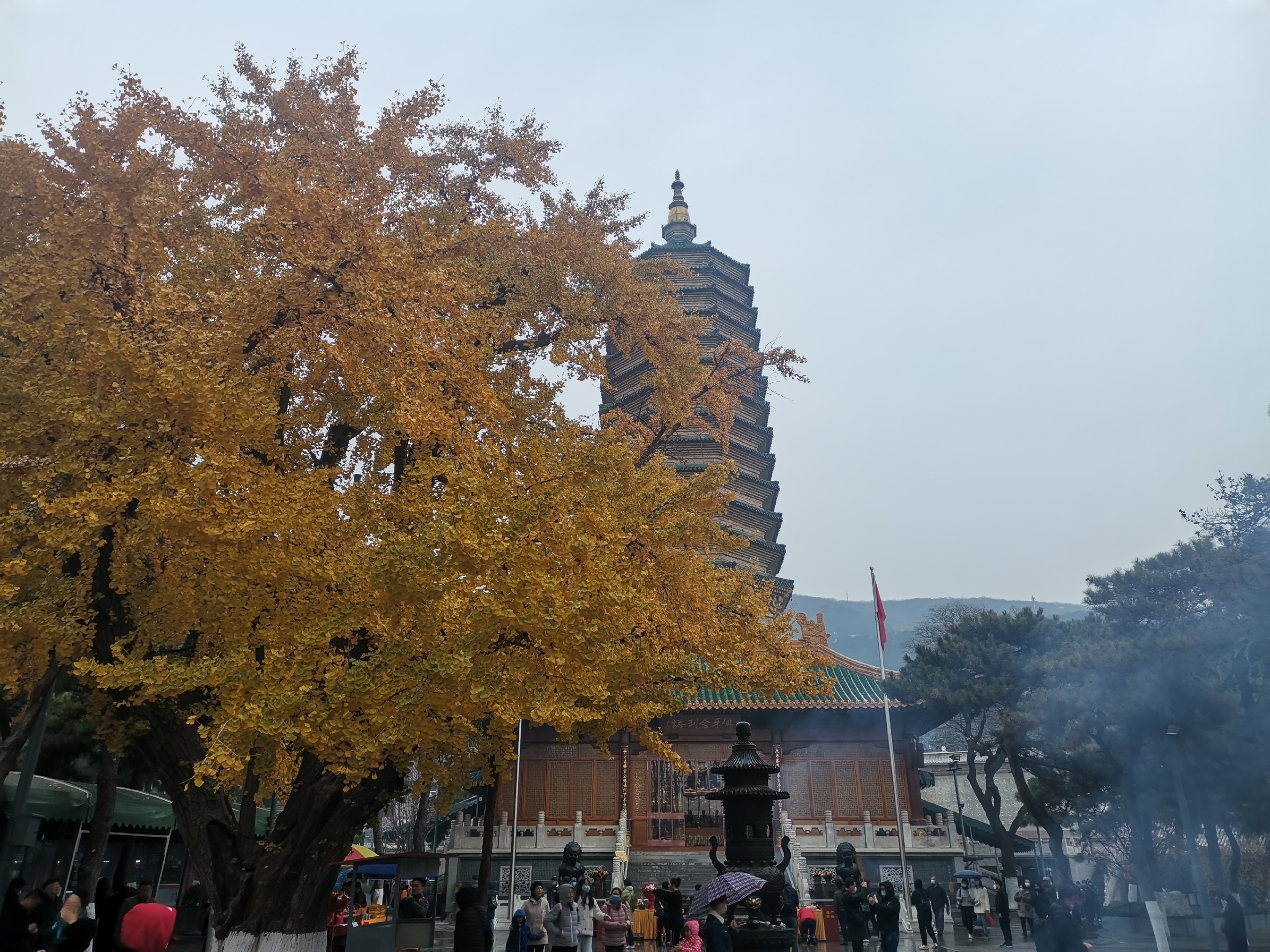 北京哪里赏秋？晚秋的八大处公园门票10元