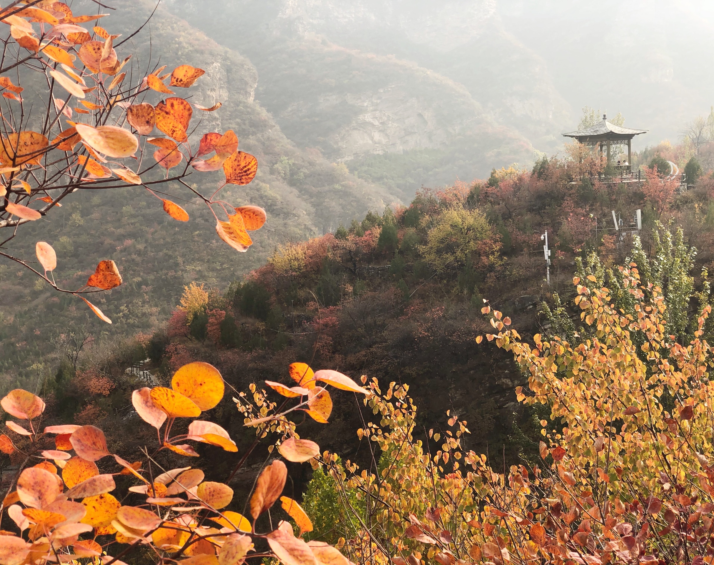 北京赏秋叶最好的地方-多彩坡峰岭