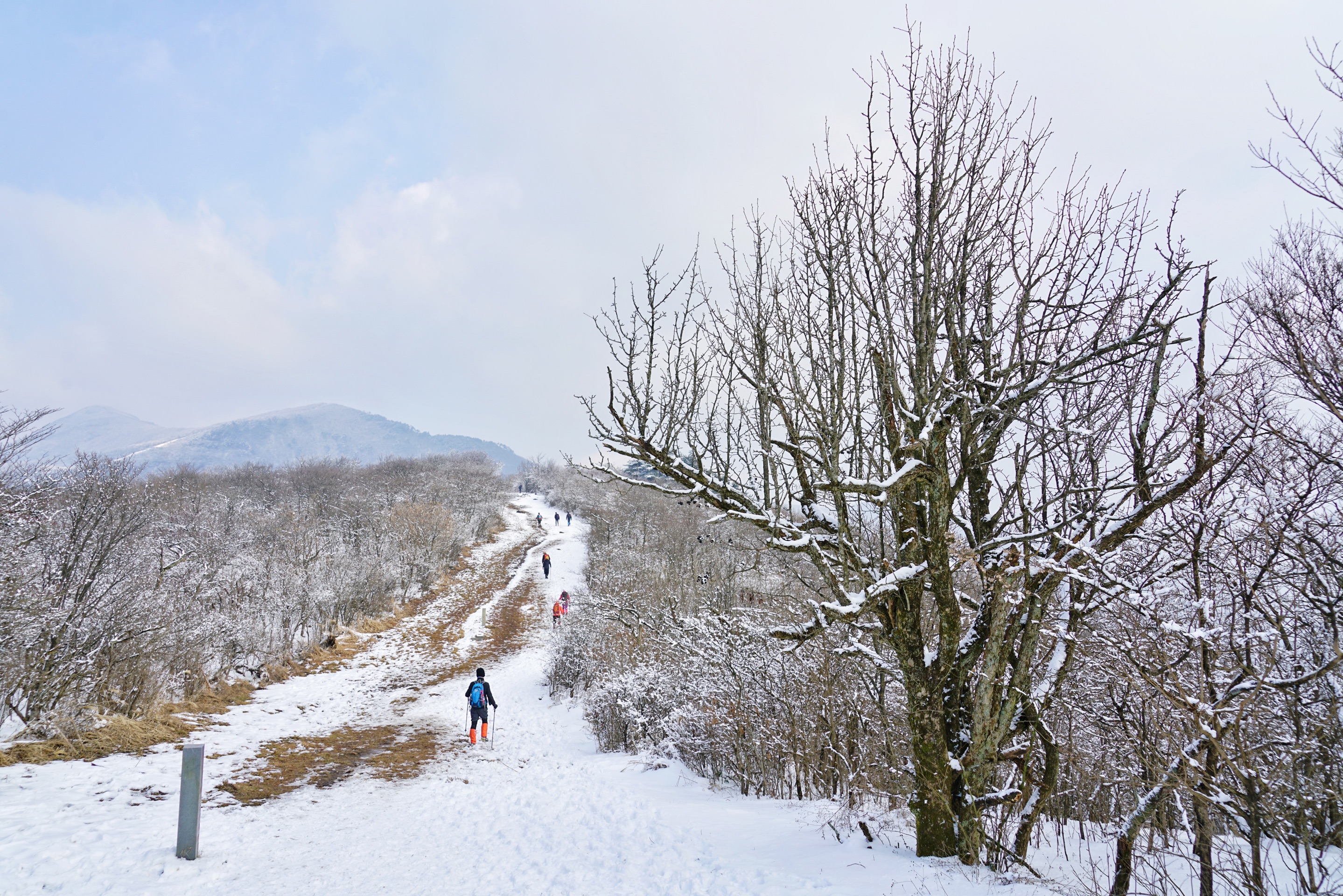 龙王山-因为山顶虽然雪景壮观，但是气温也不是一般的低