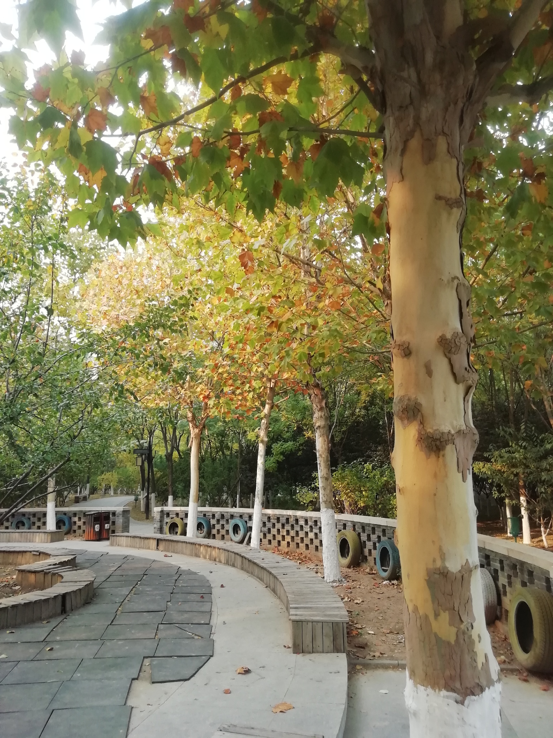 小木屋，小树林，中式的园子这是我对盐陀公园的第一印象