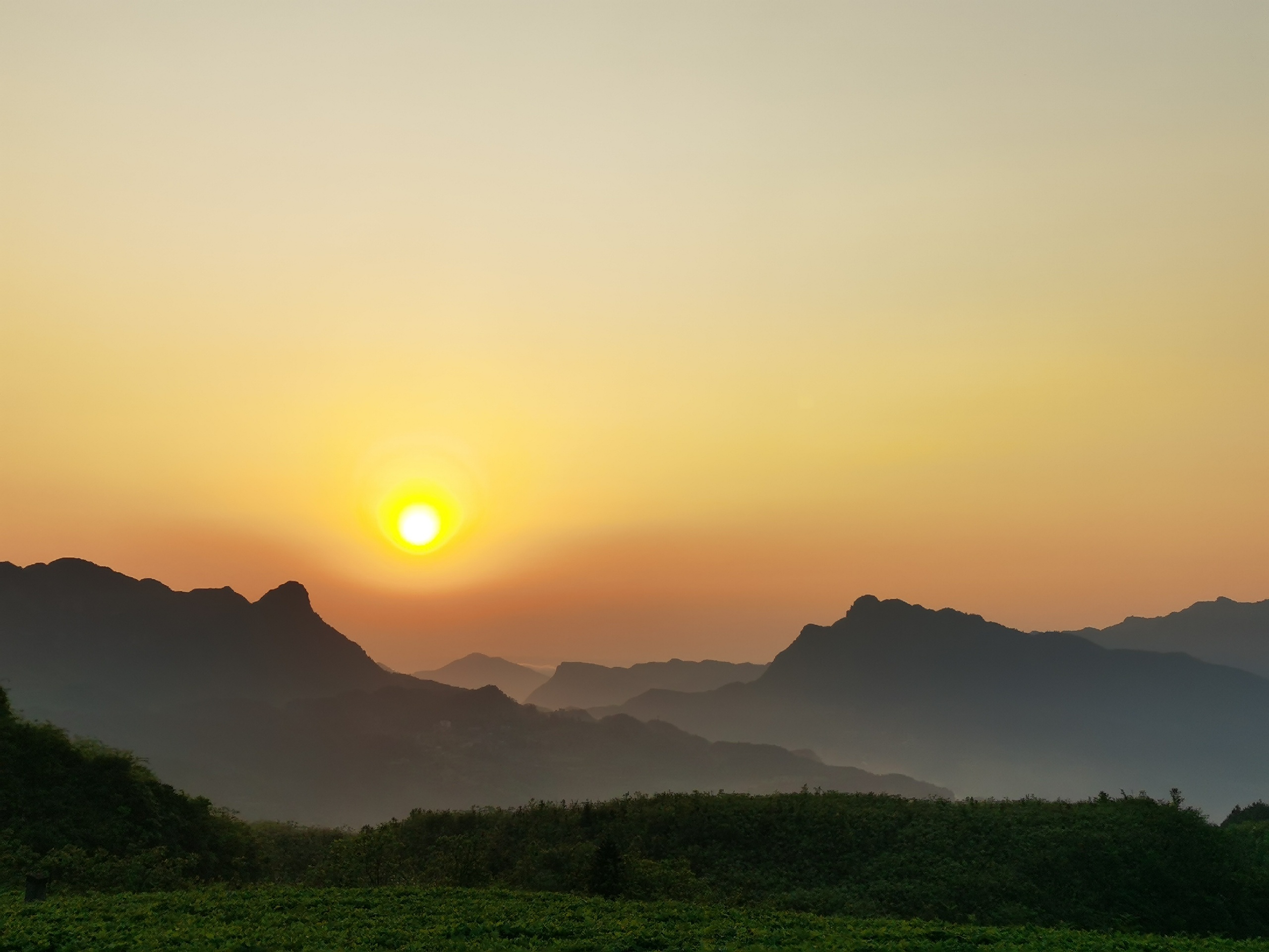 山王坪-梦幻的森林，远方的山峦，迷人的日落，黄昏的花海