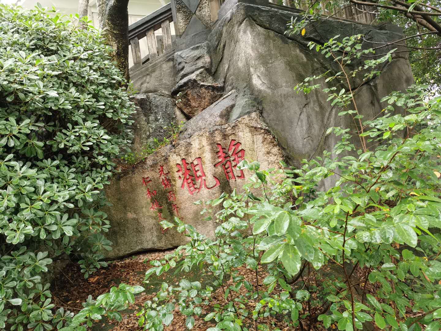 雨中游摩崖石刻，一个被遗忘的角落，厦门中山公园魁星山