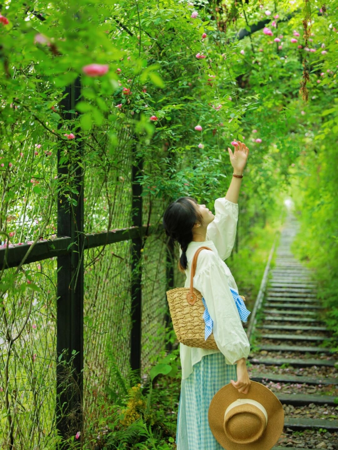重庆主城最大面积的蔷薇花梨树湾的春天｜隧道式蔷薇花海｜人少免费