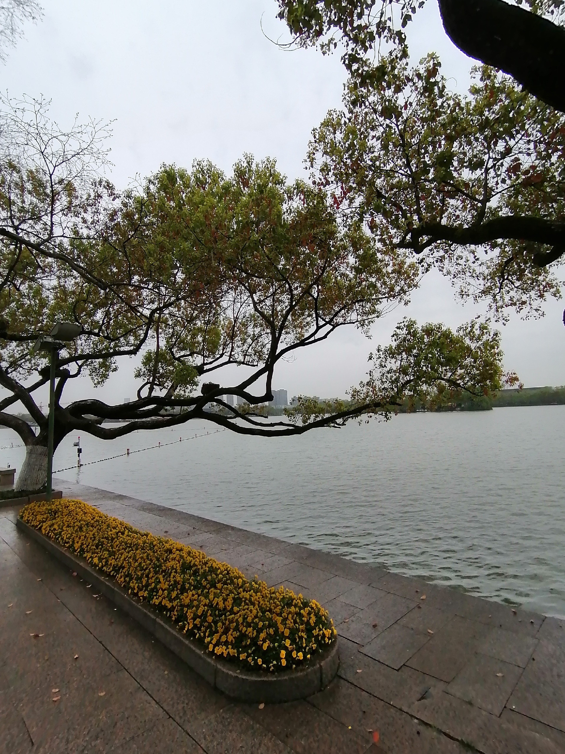 嘉兴南湖景区_在烟雨朦朦中，欣赏烟雨楼别有一方滋味。