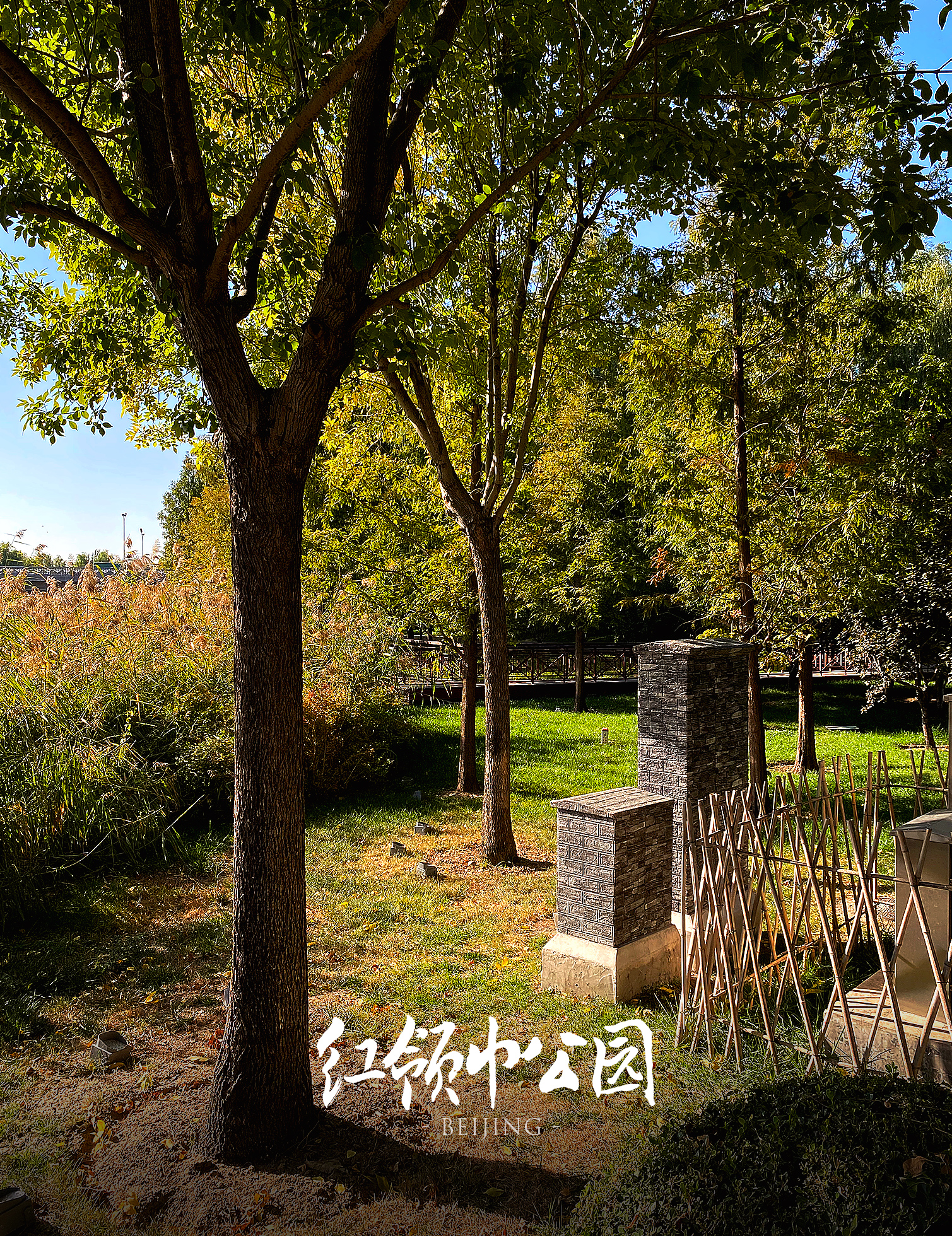 北京｜帝都公园赏秋色，我和秋天有个约会