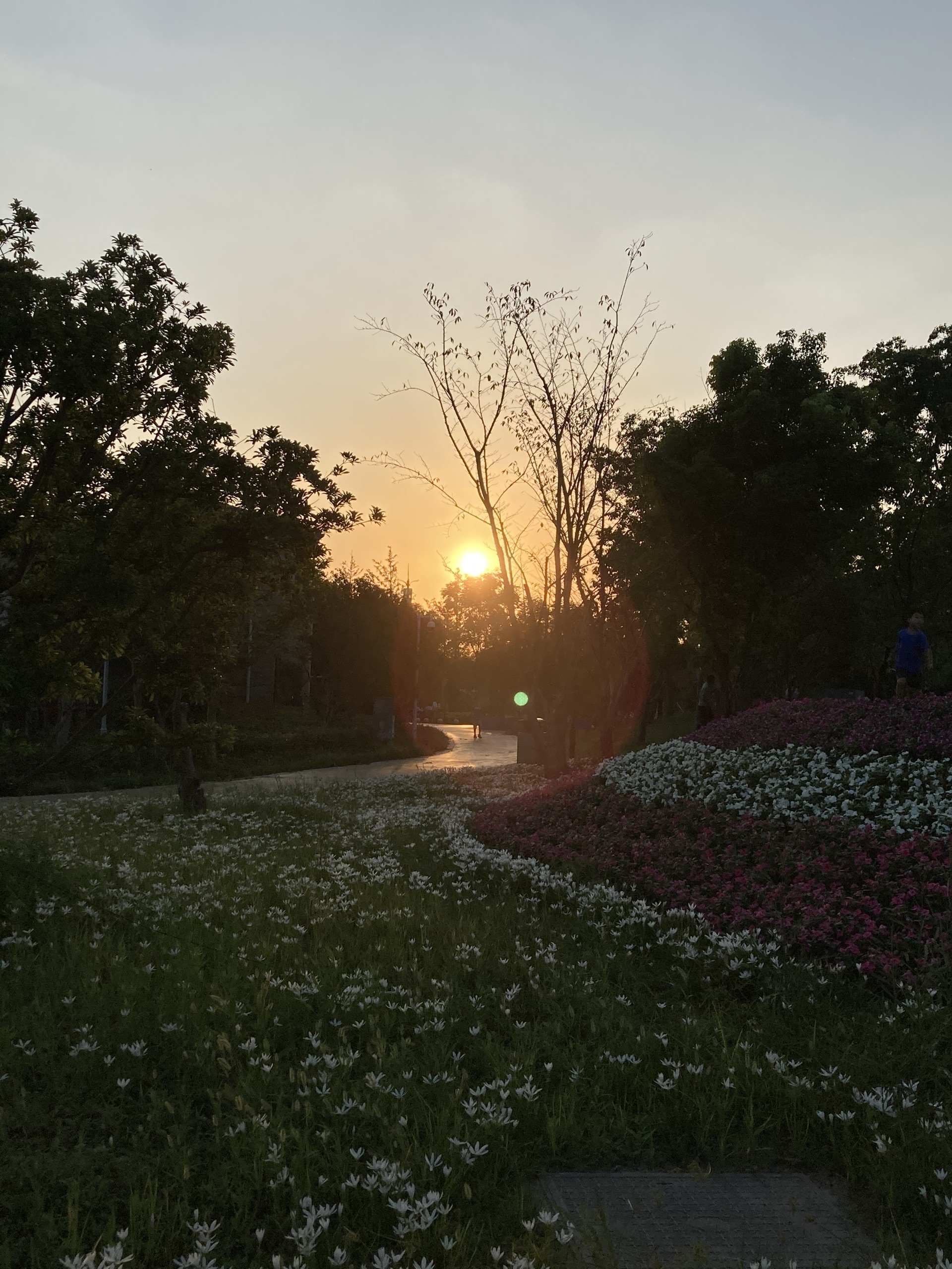 上海浦江郊野公园_2020年9月上海浦江郊野公园图片