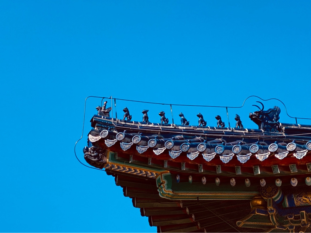 京城记·北京天坛公园｜最简单的拍照技巧