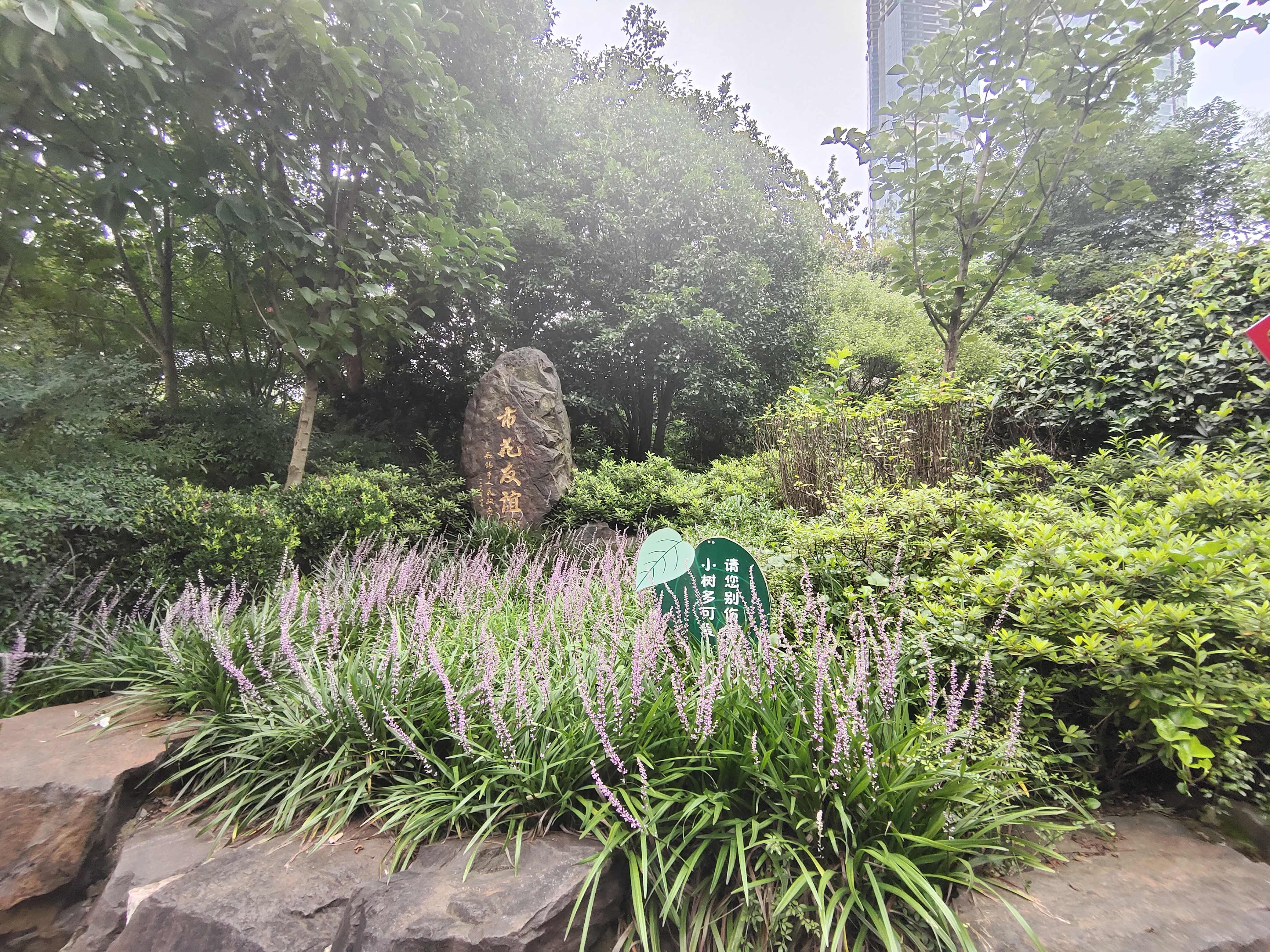 无锡城中公园又名公花园，位于无锡市公园路14号，西临中山路
