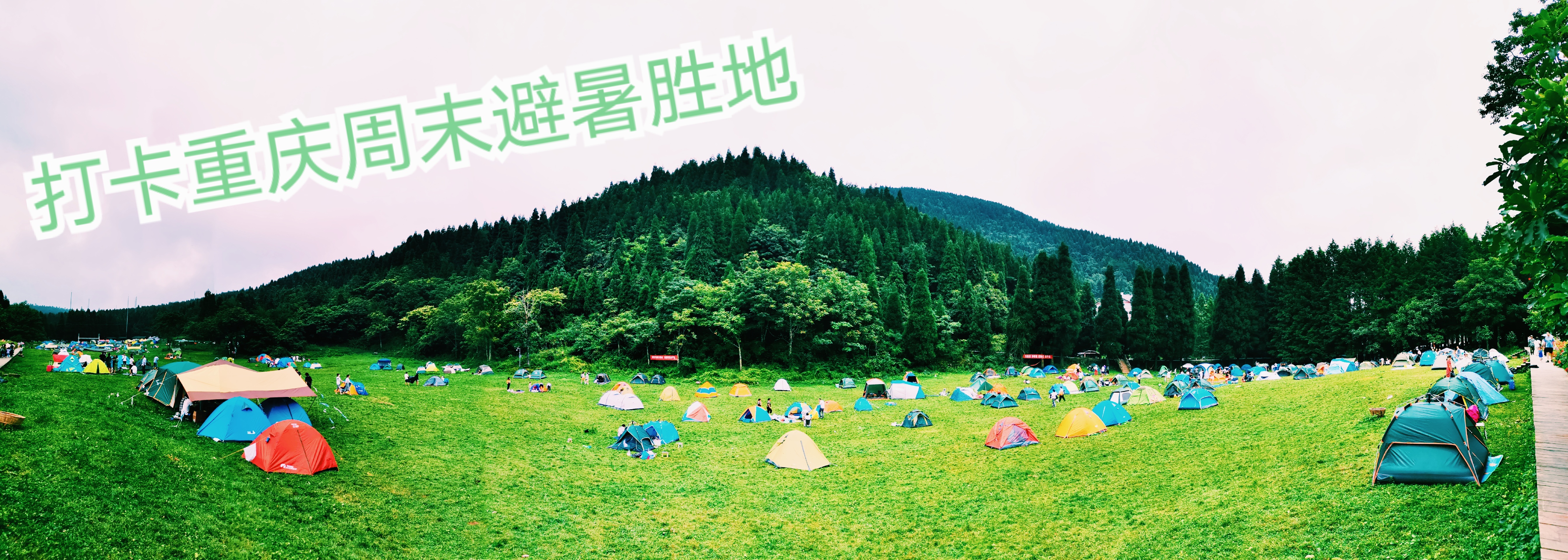 2020莞莞旅游之get重庆周末露营避暑圣地—武陵山